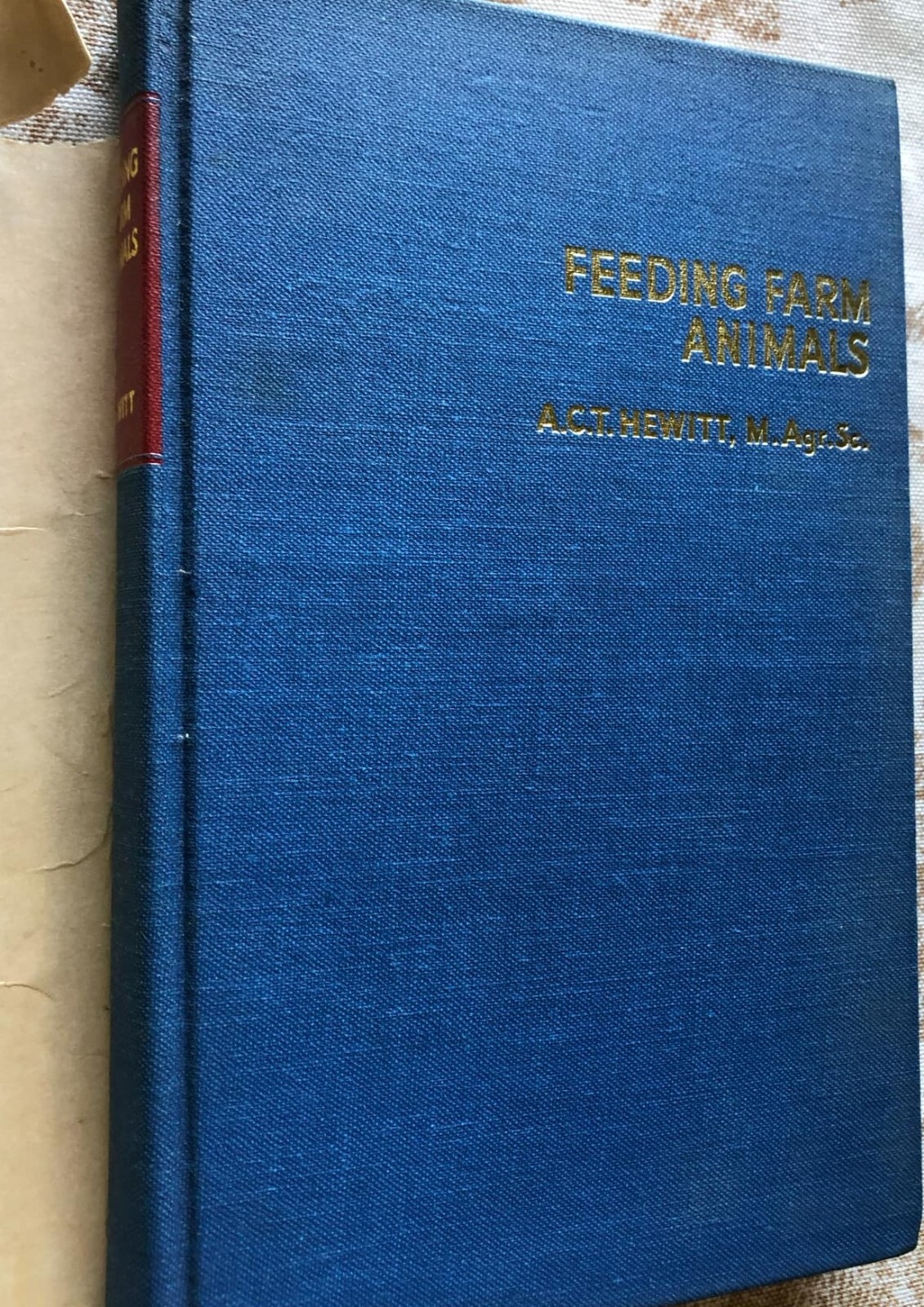 Feeding Farm Animals A Hewitt