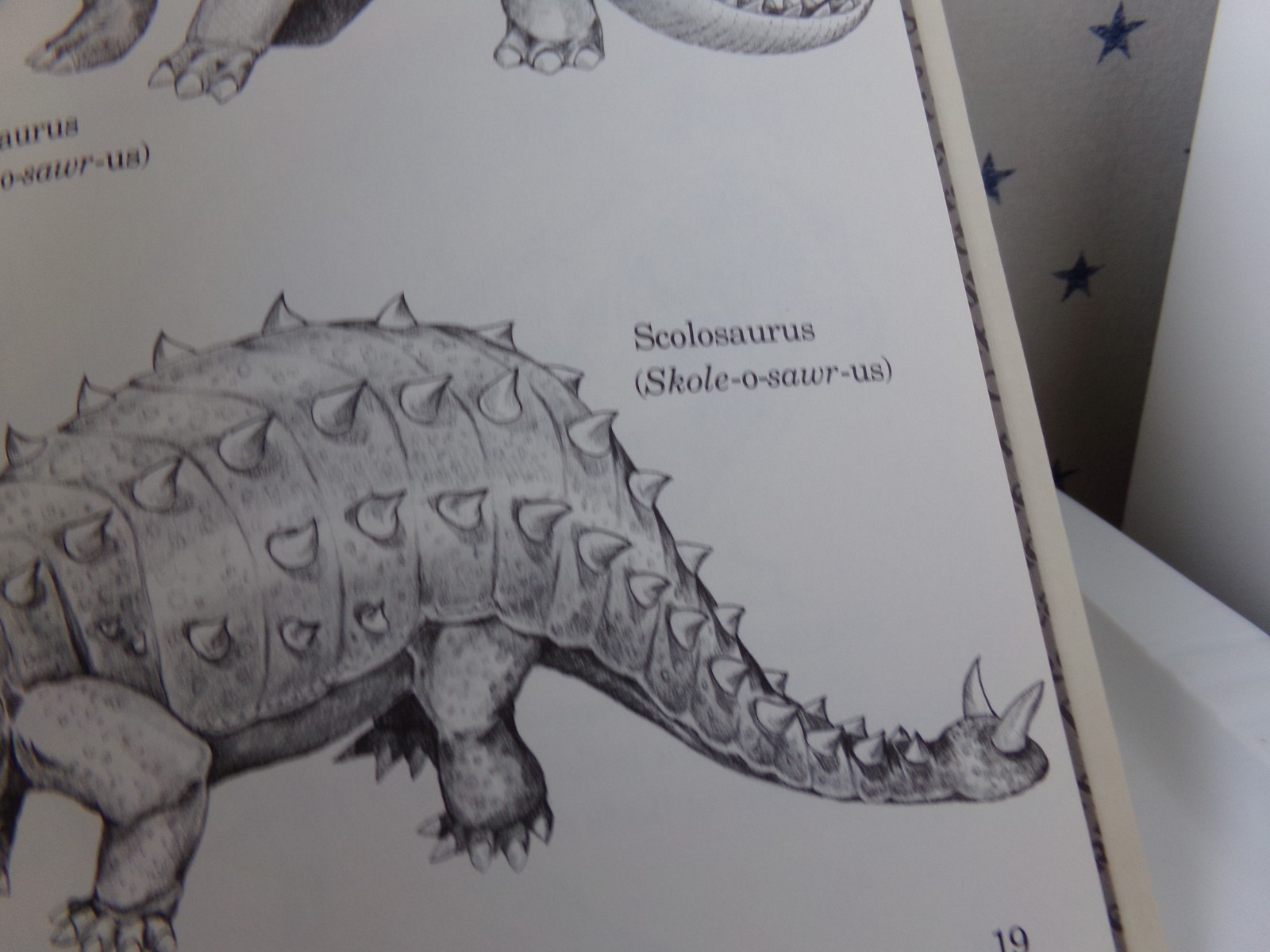 By Millicent E. Selsam A First Look at Dinosaurs Science Vtg Hardcover Book 1982
