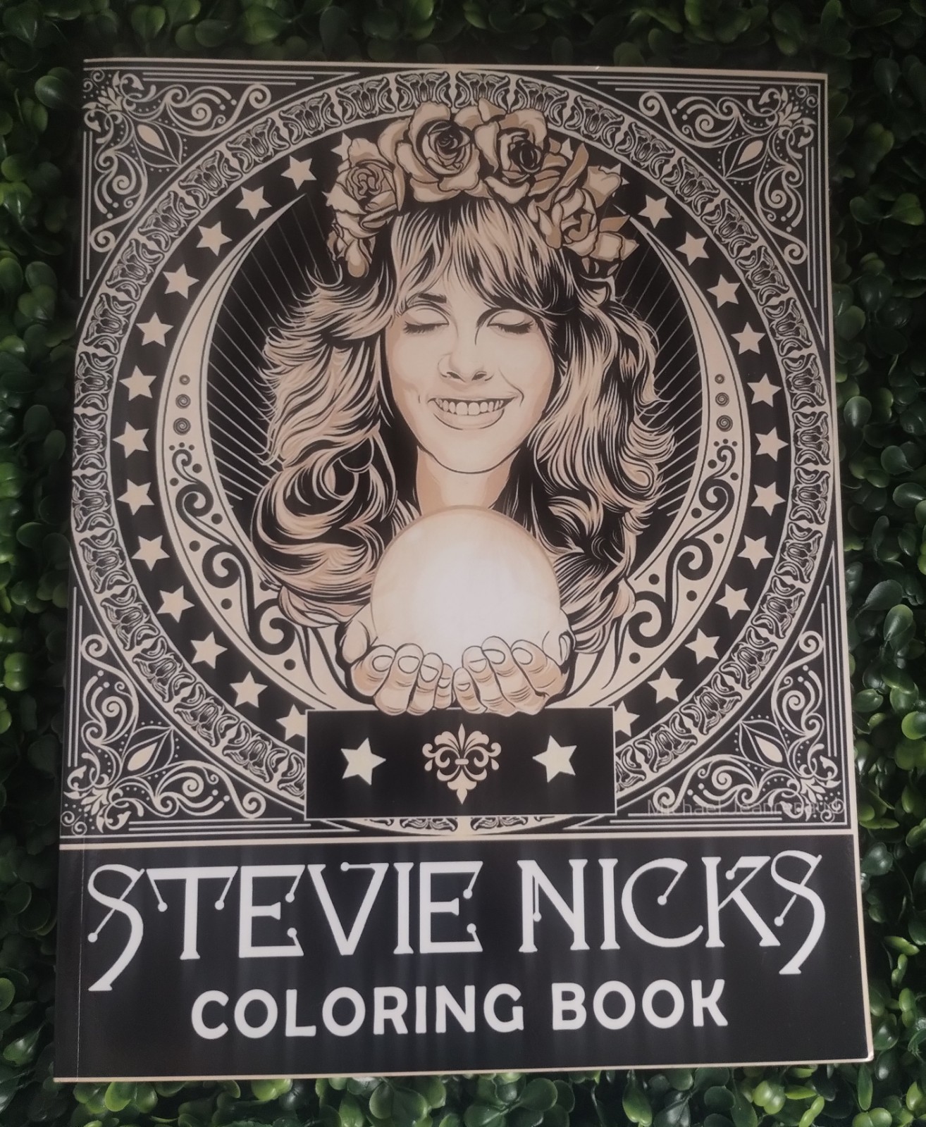 Stevie Nicks Coloring Book: An Cool Coloring Book With Lots Of Stevie Wonder…