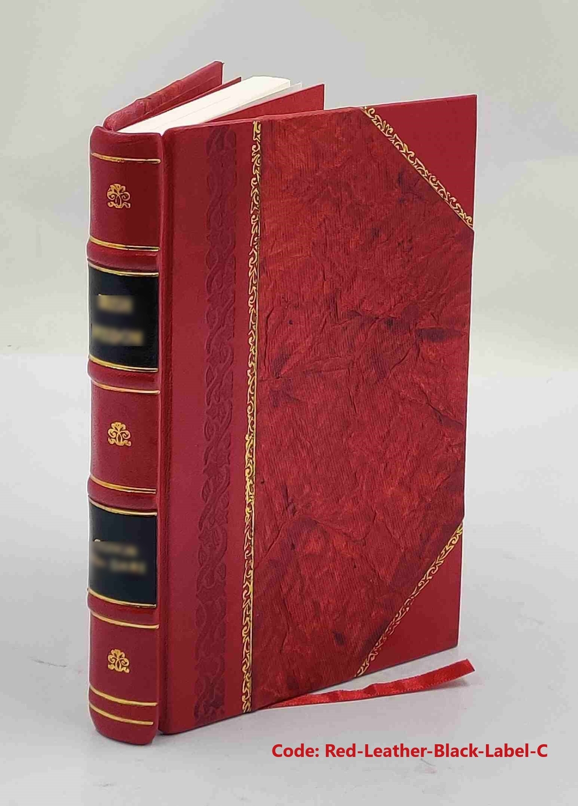Die optischen Instrumente der Firma r. Fuess deren Beschreibung [Leather Bound]