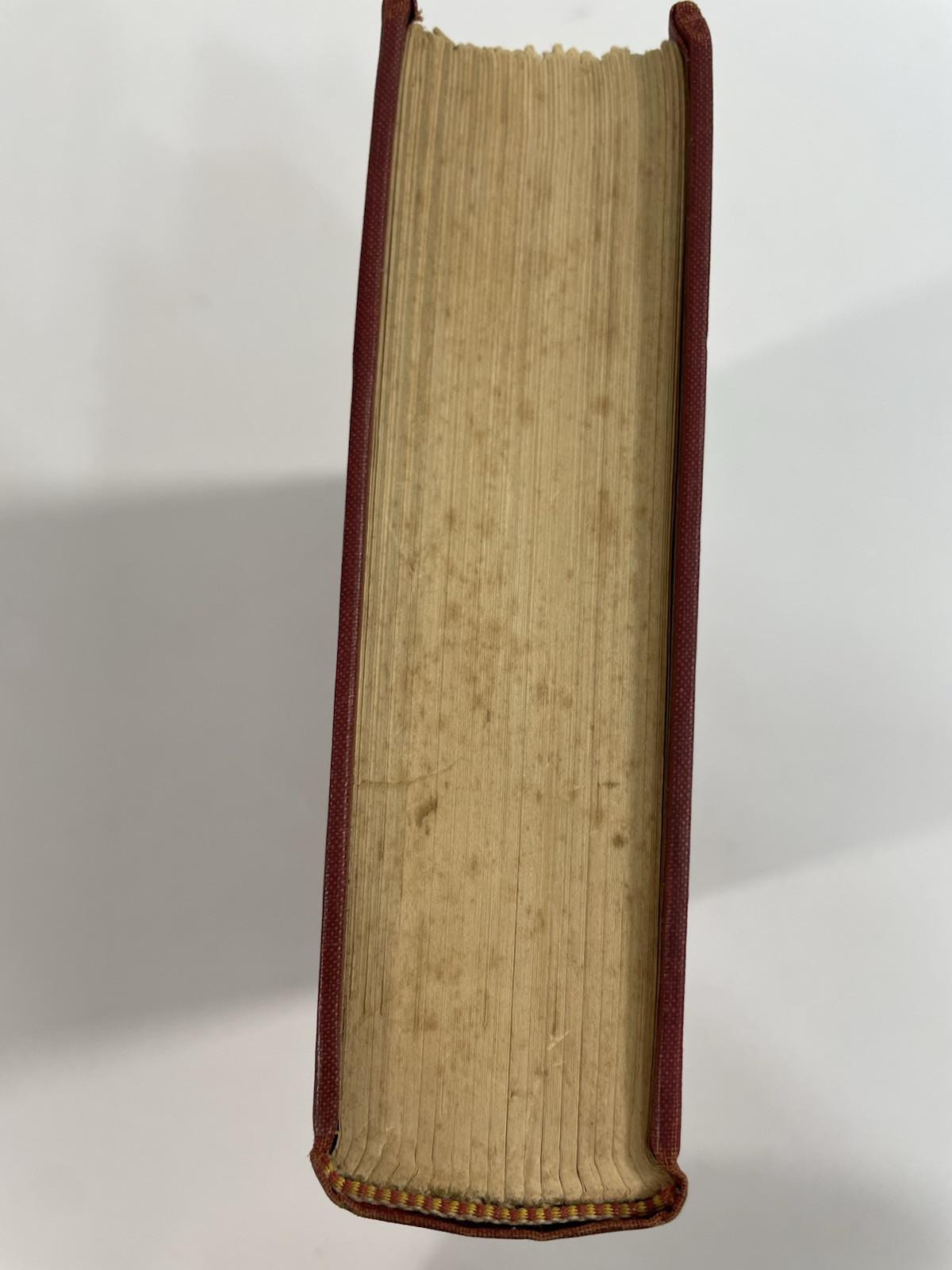 Paradise Esther Forbes 1937 Harcourt Brace and Company Hardcover