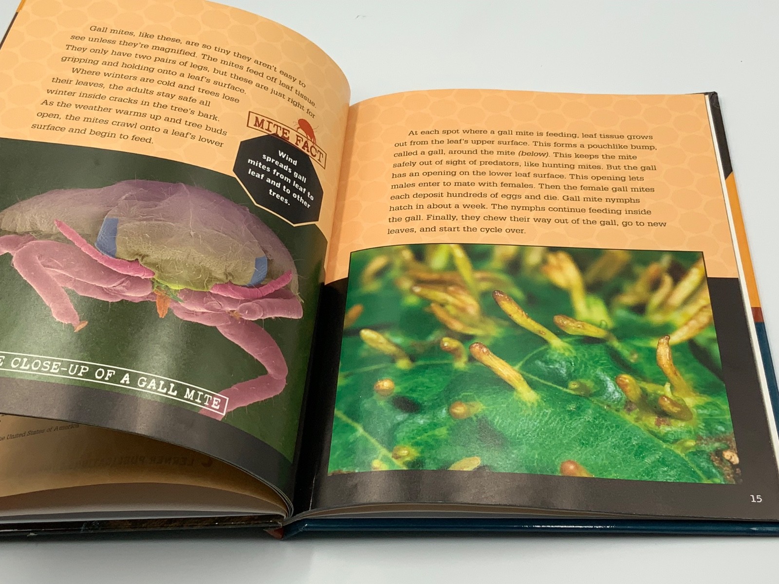 Mites : Master Sneaks Library Binding Sandra Markle