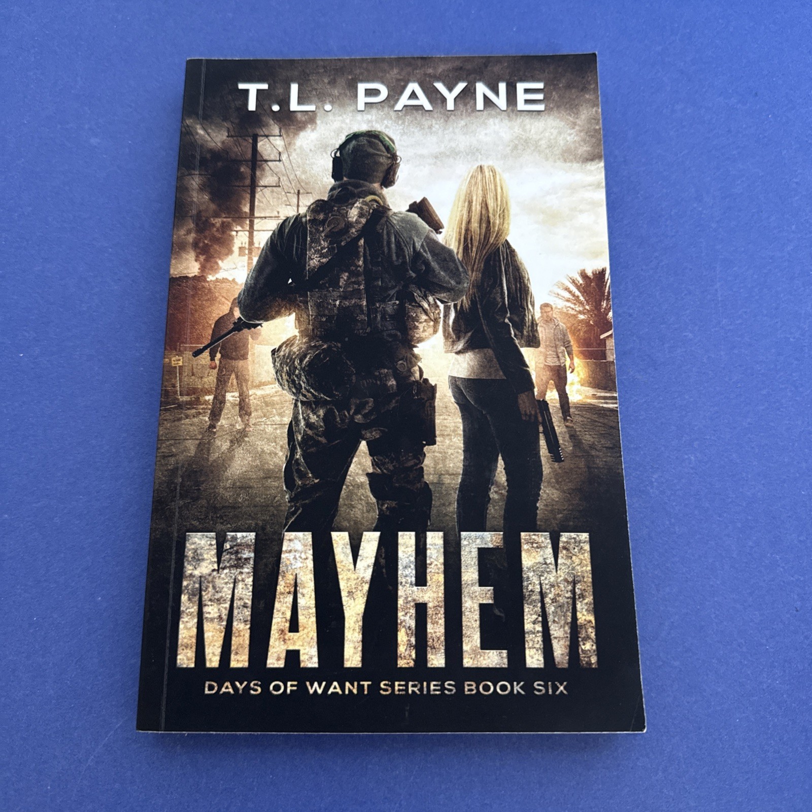 Lot of 7 ~ Trade PB Books ~ T. L. Payne ~ Complete DAYS OF WANT Series