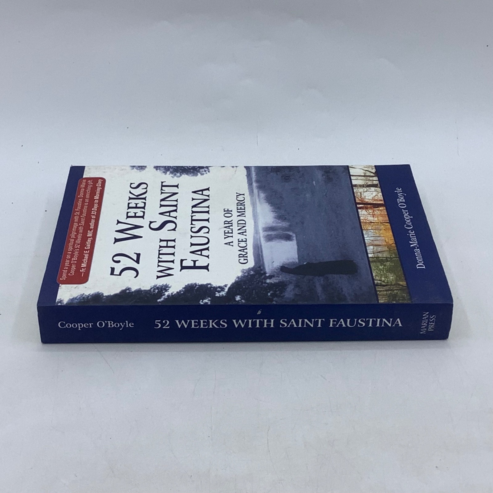 52 Weeks with Saint Faustina A Year of Grace and Mercy by Donna Marie O’Boyle PB