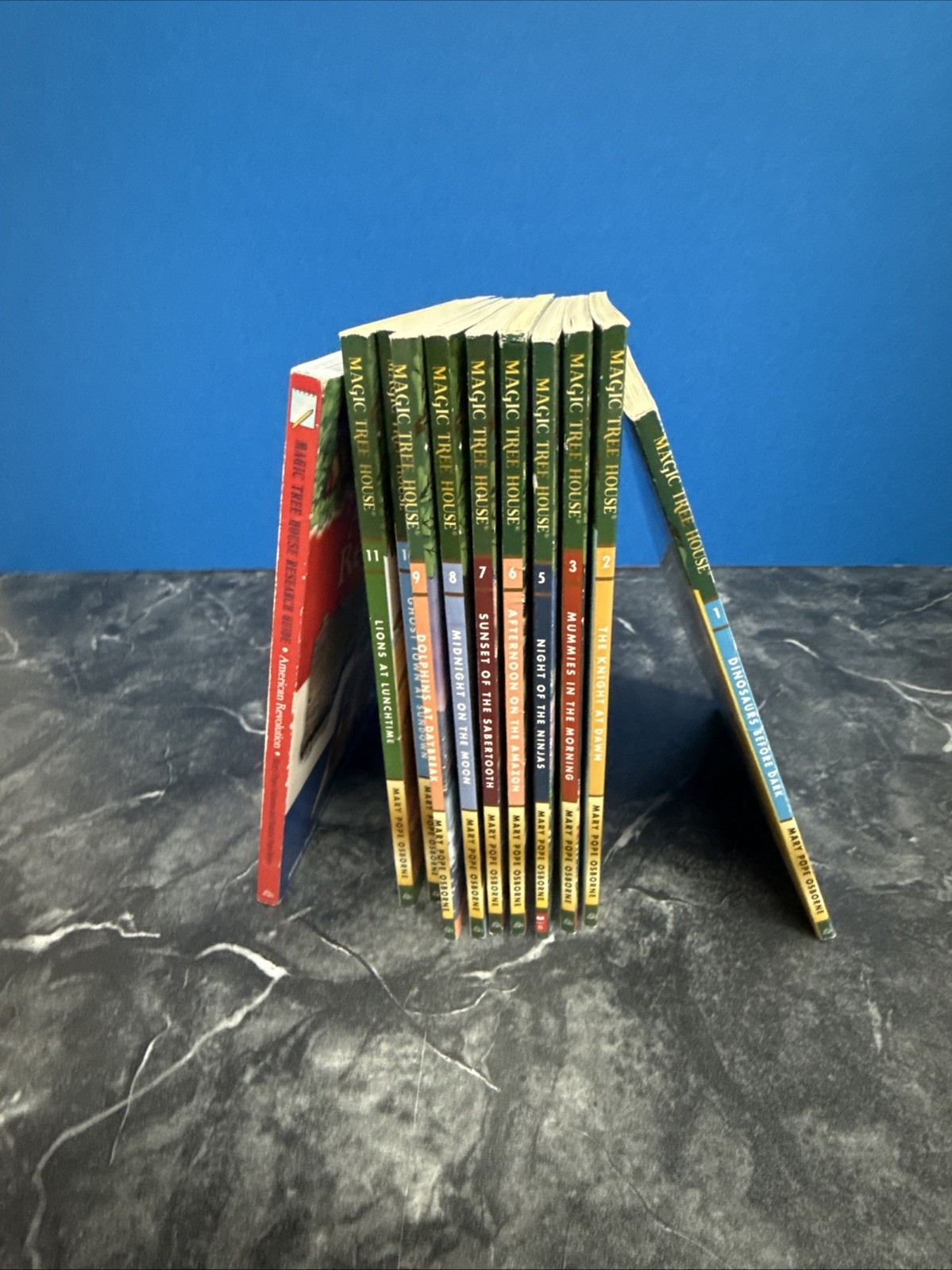 Magic Tree House 11 Book Collection