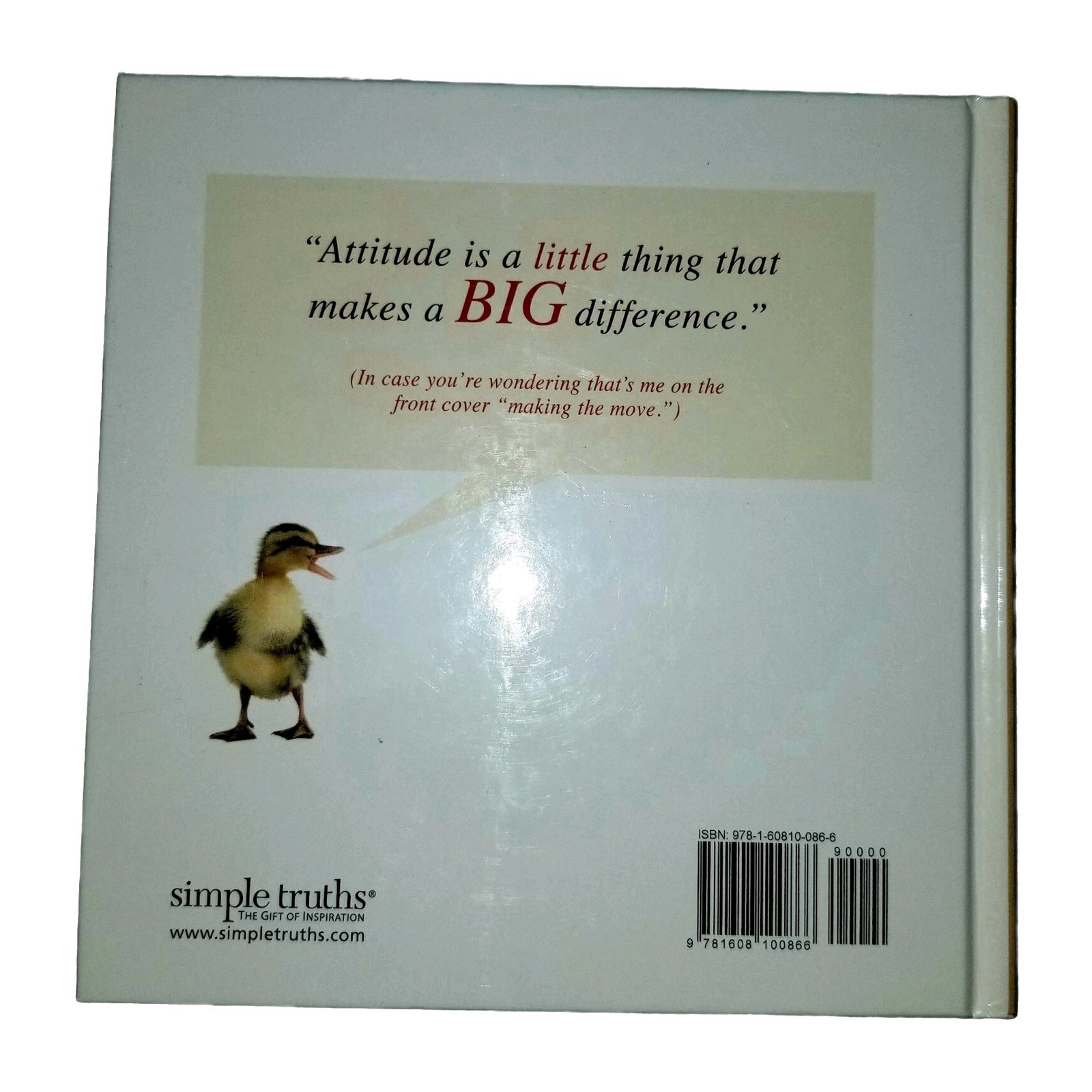 Attitude Is Everything 10 Rules For Staying Positive A Book By Vicki Hitzges