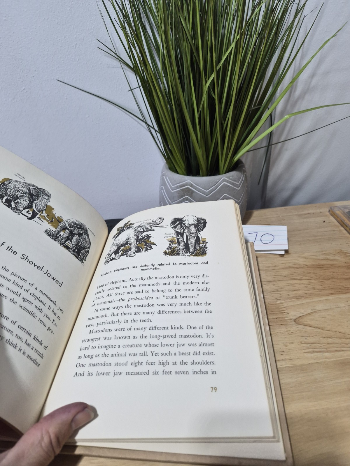 All About Strange Beasts of the Past by Roy Chapman Andrews 1956 Hardcover