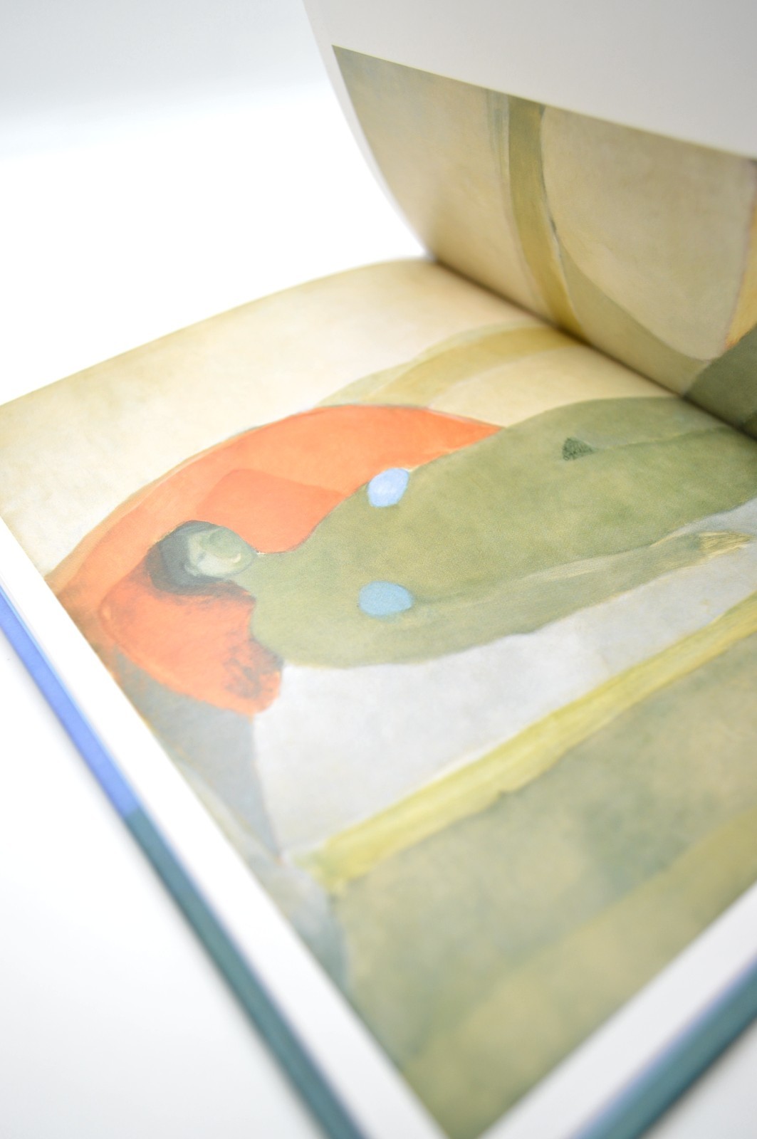 Joy Laville, Una promesa de felicidad, 2014, HC, LE, Artist Monograph, Scarce