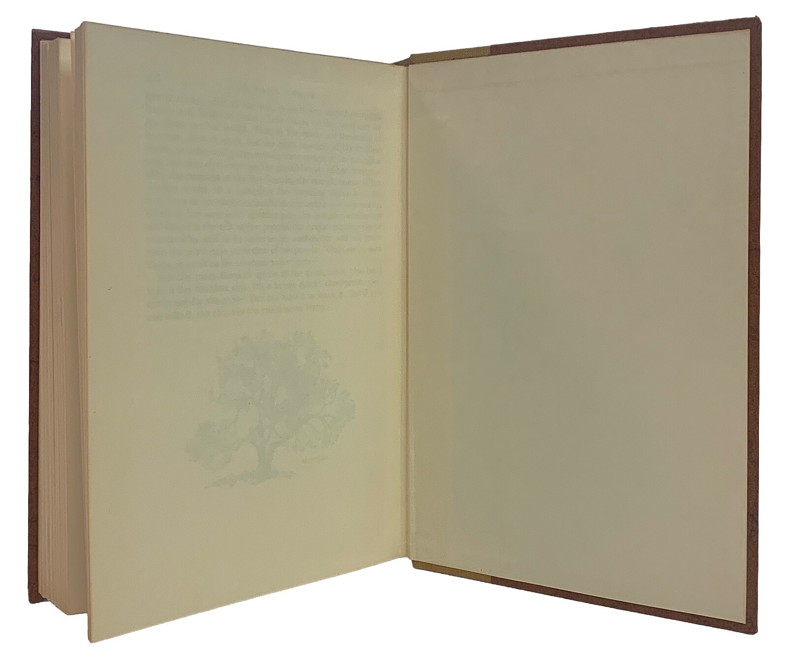 I’LL TAKE TEXAS by Mary Lasswell 1958 Culture Travel 376 Pages No Dust Jacket