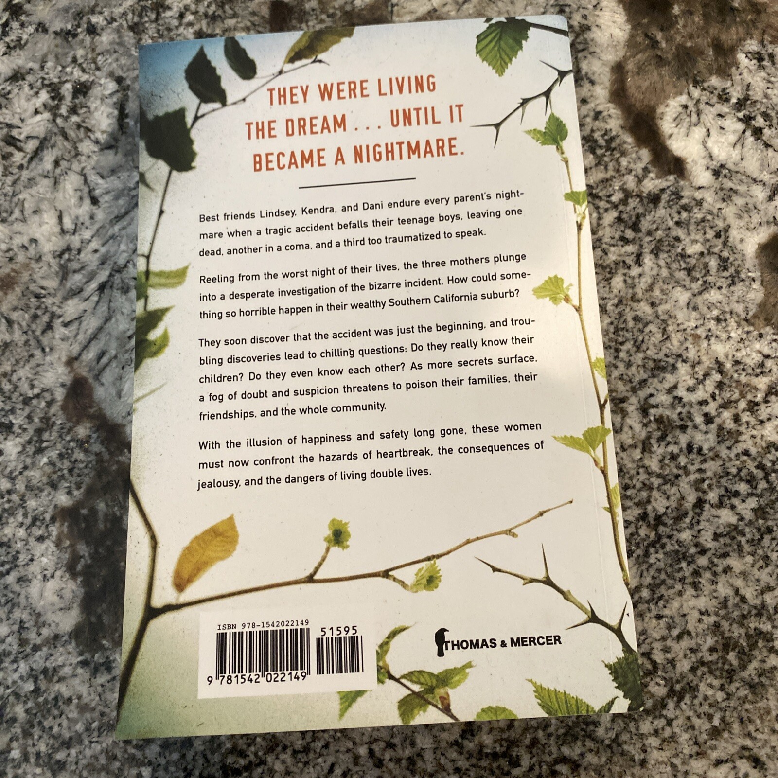 Best of Friends by Lucinda Berry (2020, Trade Paperback)