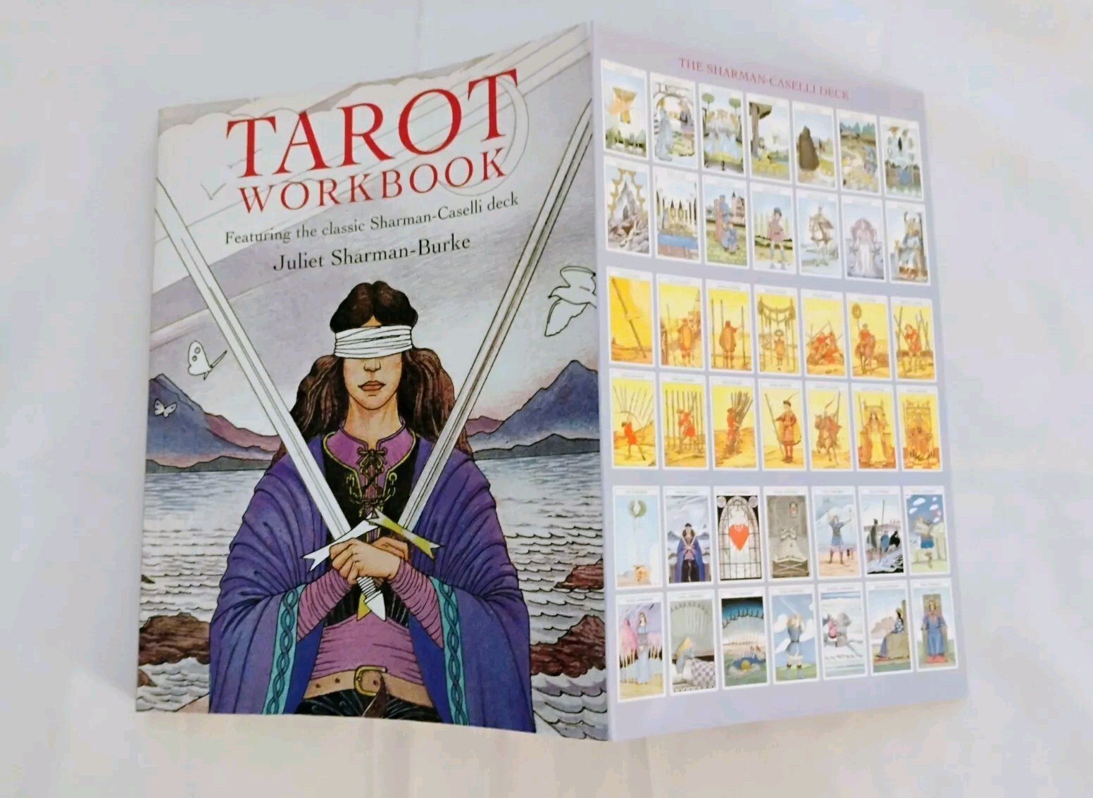 occult book lot witchcraft, Tarot, pagan ritual, book of women’s rituals 1 game