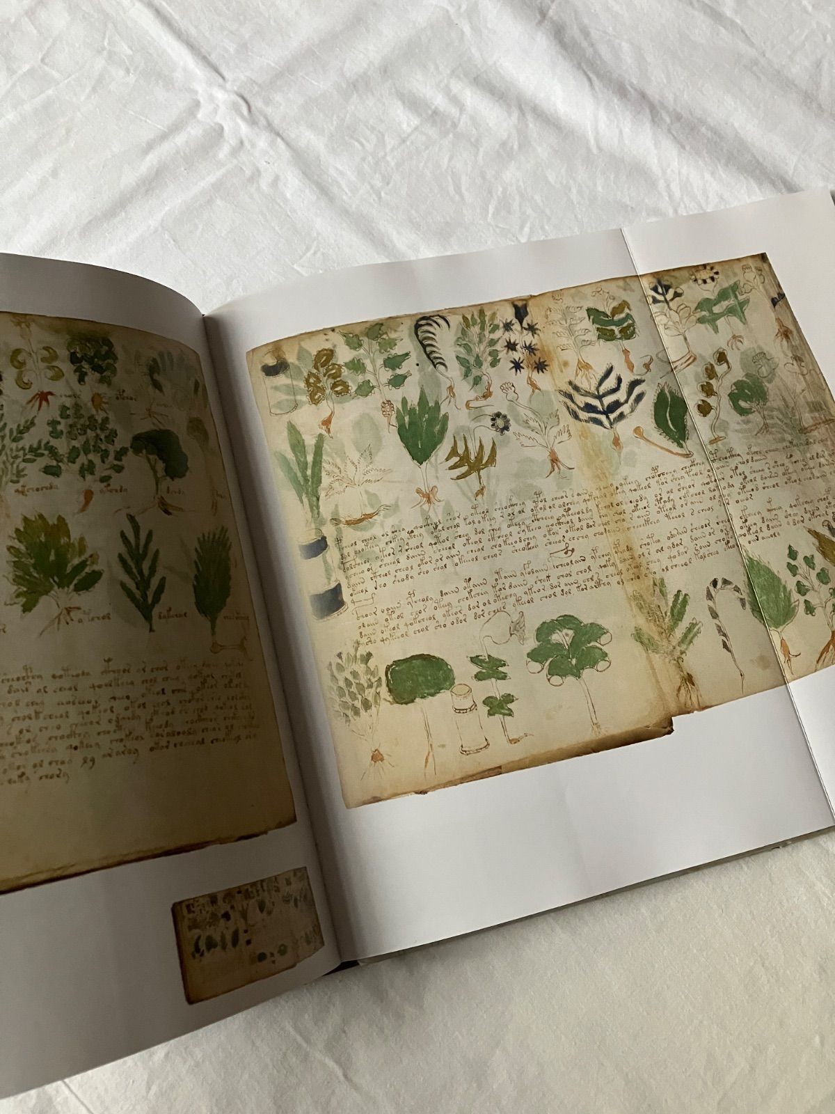 Voynich Manuscript Facsimile 1912 Yale Univ Press 31x24cm Used
