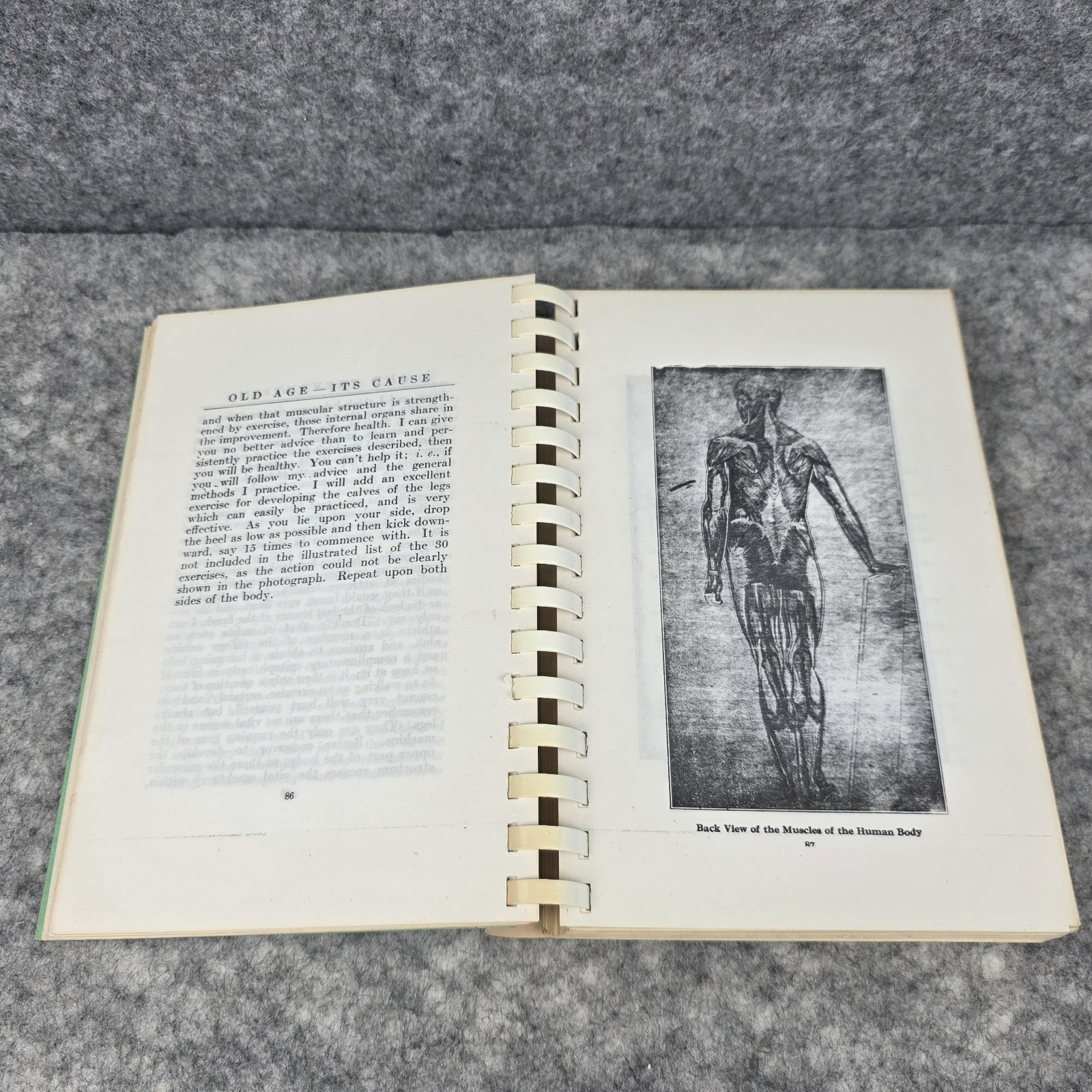 Old Age: Its Cause and Prevention – Sanford Bennett 1912