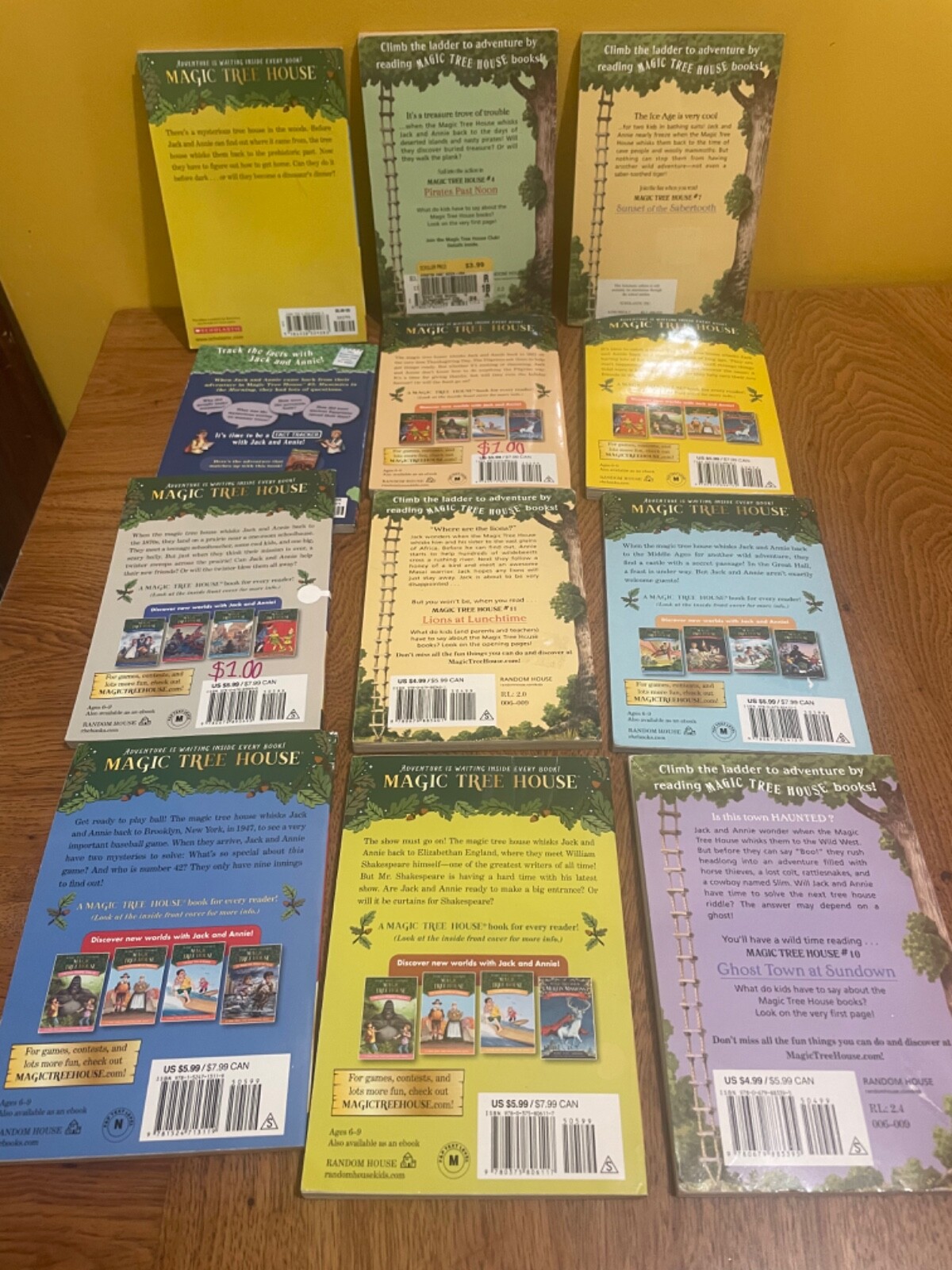 Random Lot of 12 Magic Tree House Books Mary Pope Osborne