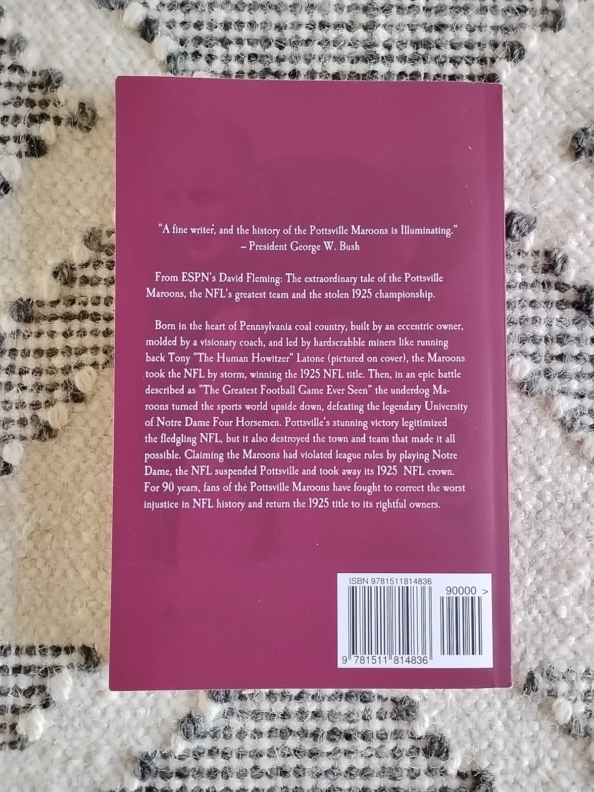 Breaker Boys by David Fleming, 2015 trade paperback