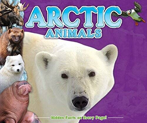 Arctic Animals Fun Facts for Kids – Hardcover By Kidsbooks – GOOD