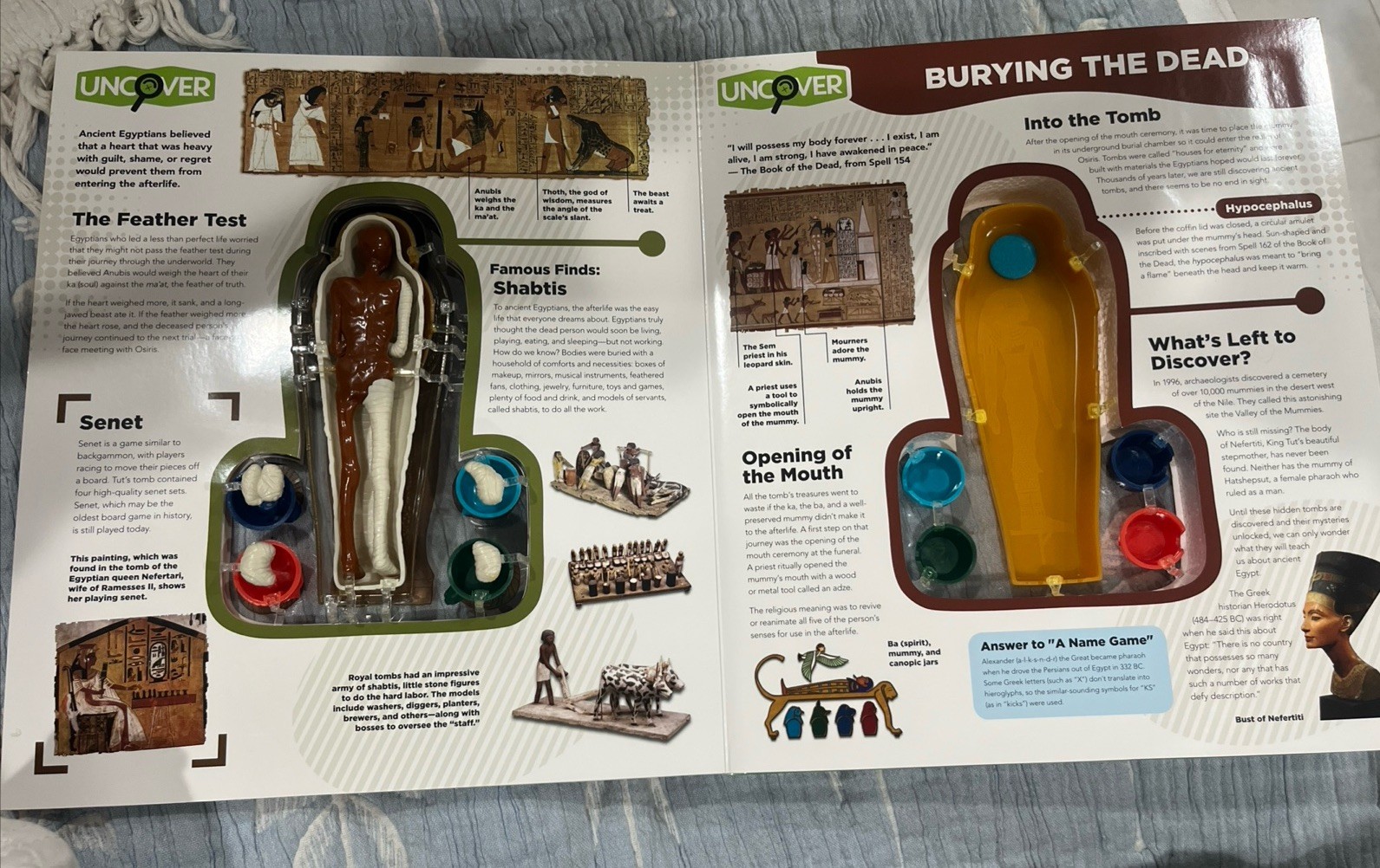 Uncover an Egyptian Mummy