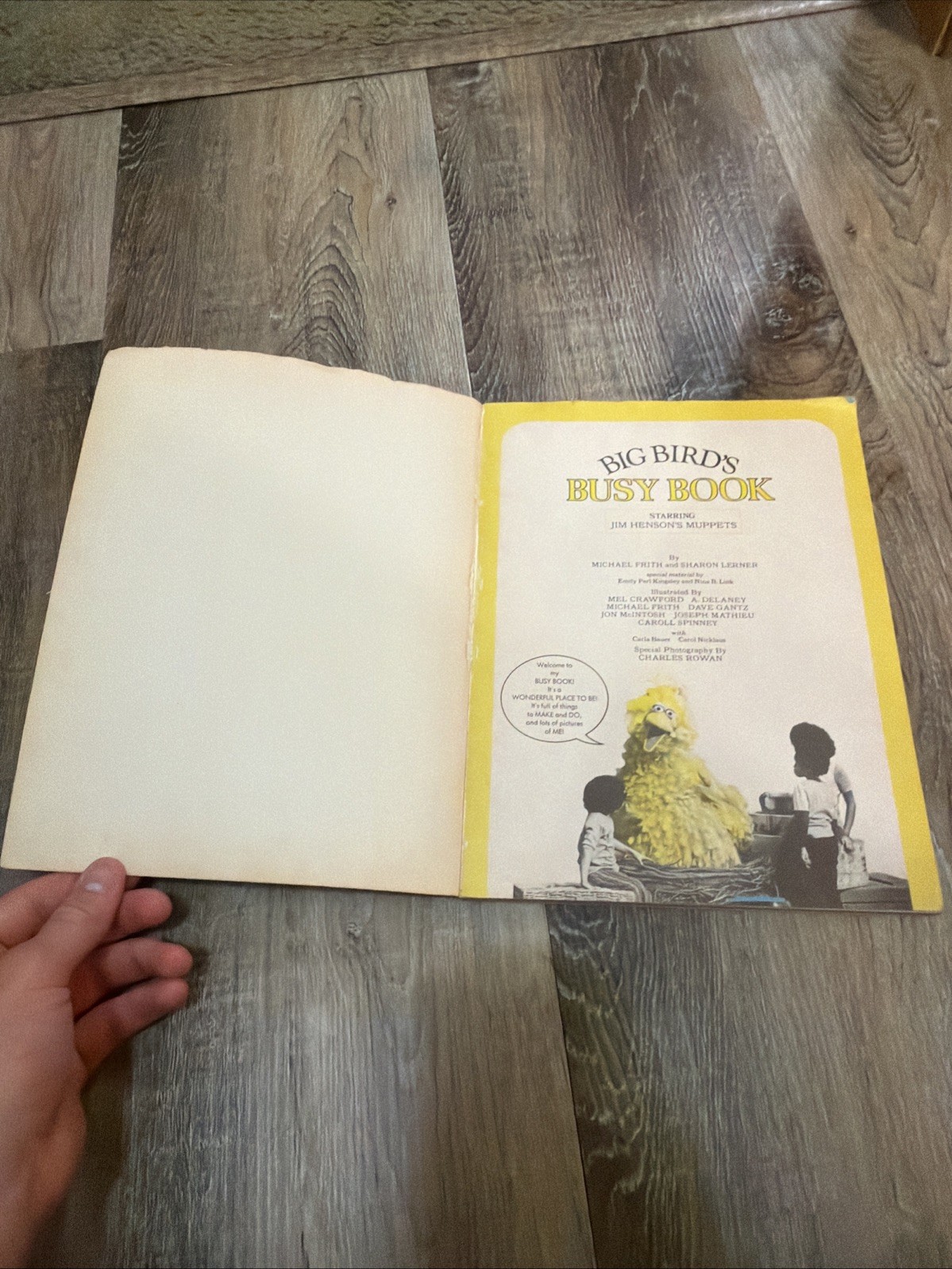 Big Bird’s Busy Book CTW Sesame Street Muppets Vintage Random House 1975