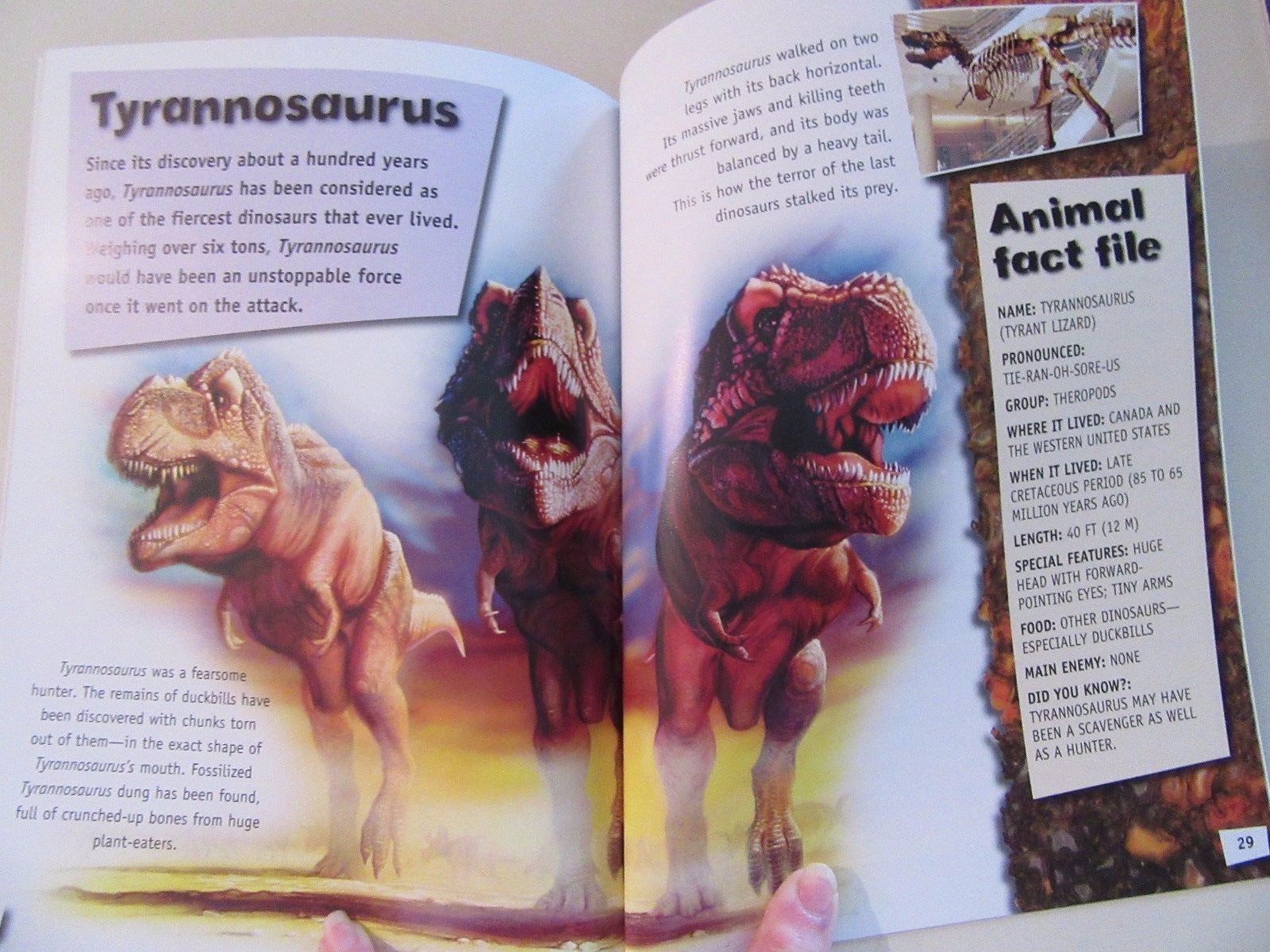 Lot of 3 NEW Awesome Ancient Animals Dinosaurs Reptiles T-Rex Fossils Ages 8-12