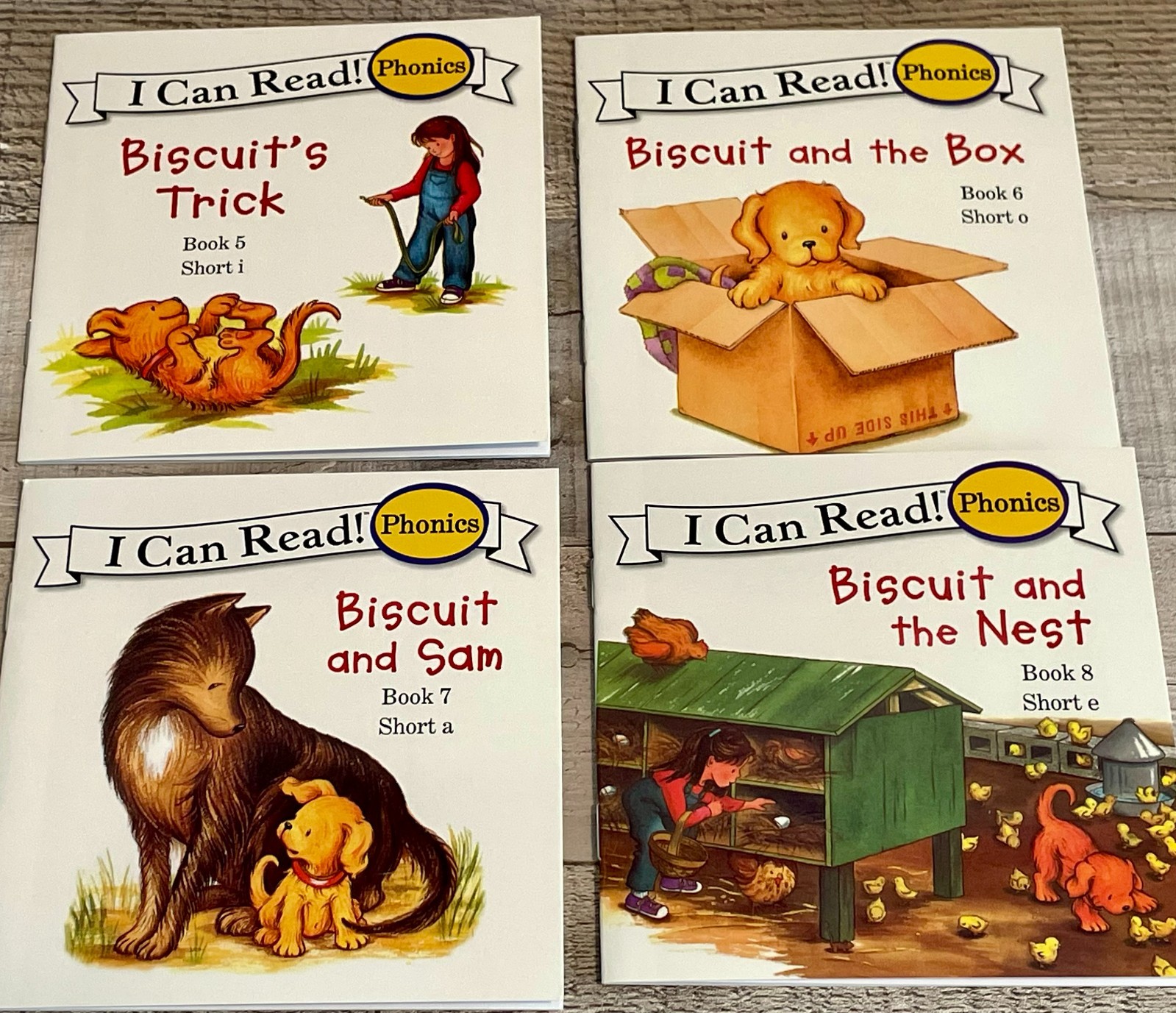 I Can Read Phonics (Short Vowels) “This is Biscuit” Set of 12