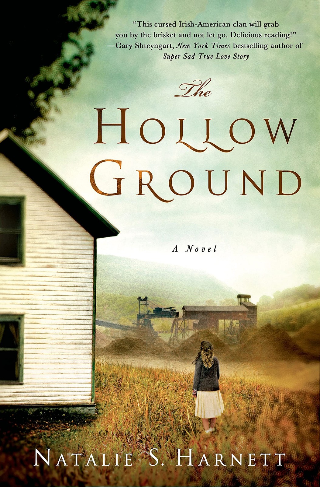 The HOLLOW GROUND: A Novel