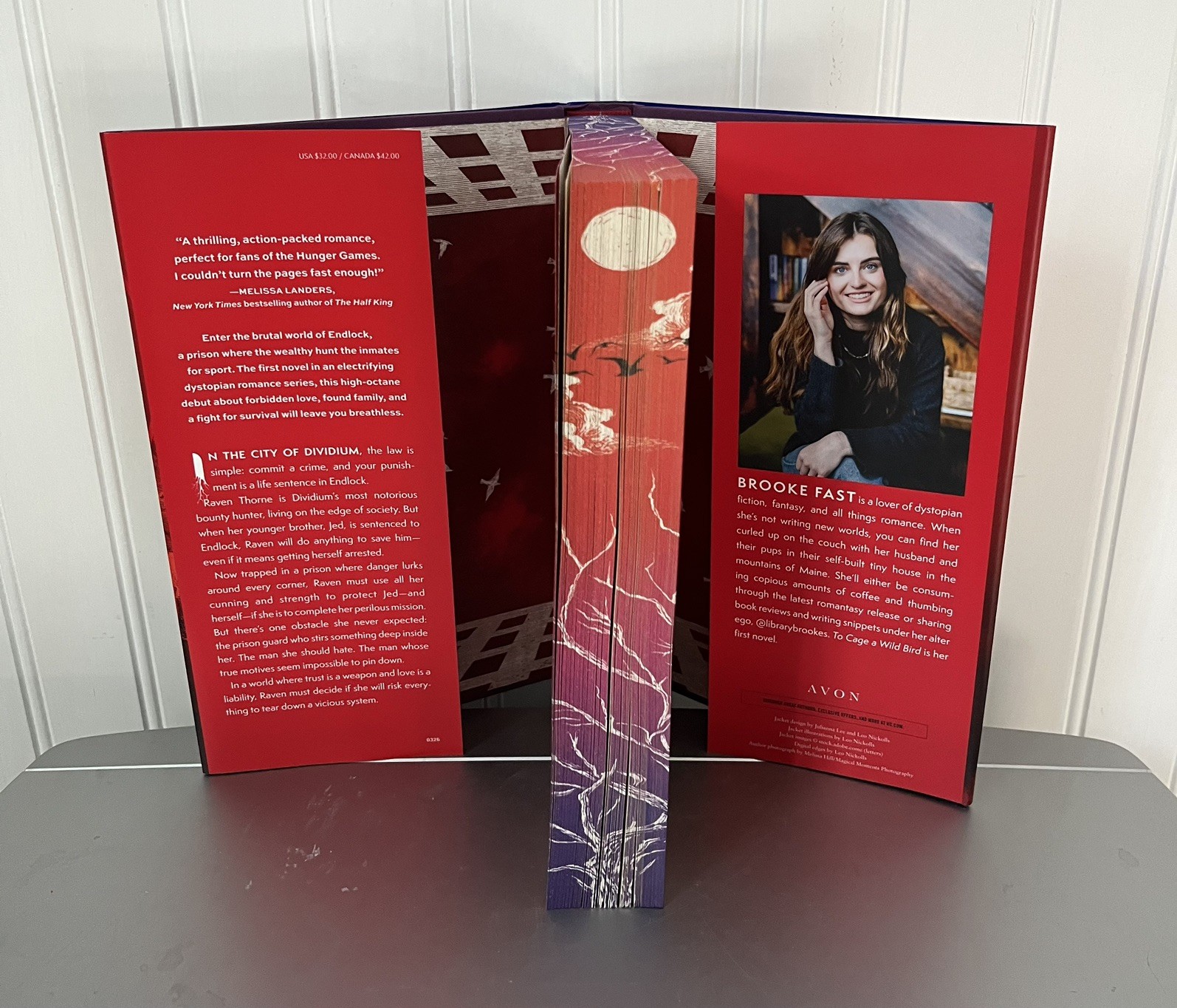 To Cage a Wild Bird by Brooke Fast Hardcover Book