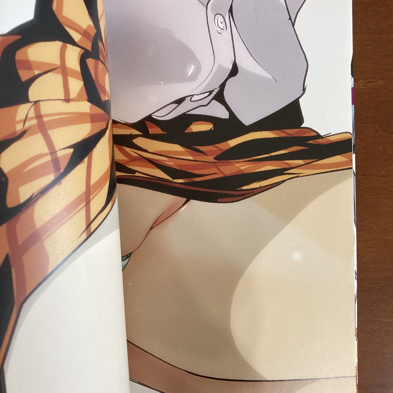 Akira Hiramoto Art Book GAMPUKU Prison School Manga Anime Illustration Design