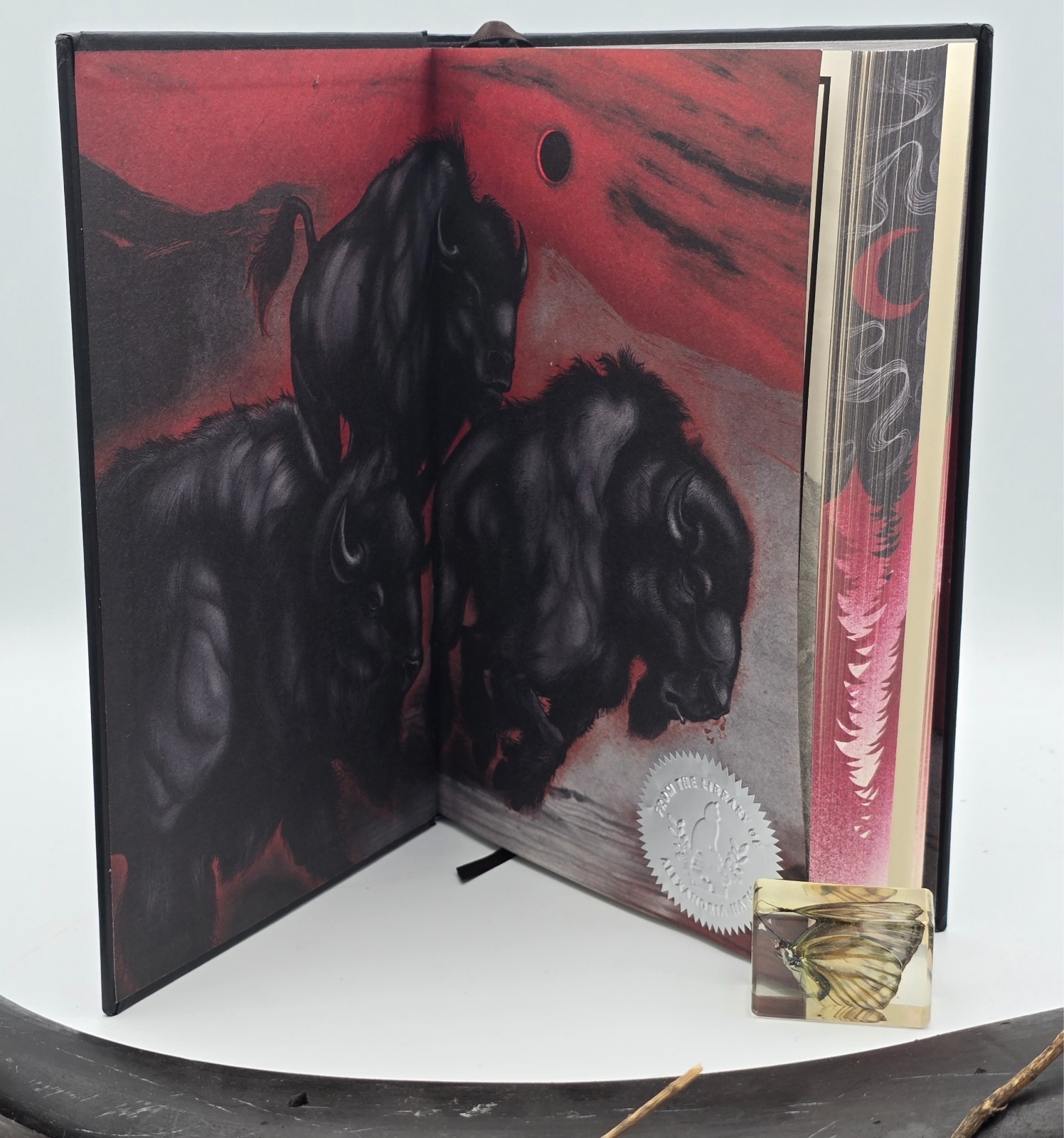 Buffalo Hunter Hunter | Stephen Graham Jones | SIGNED OwlCrate Hardcover