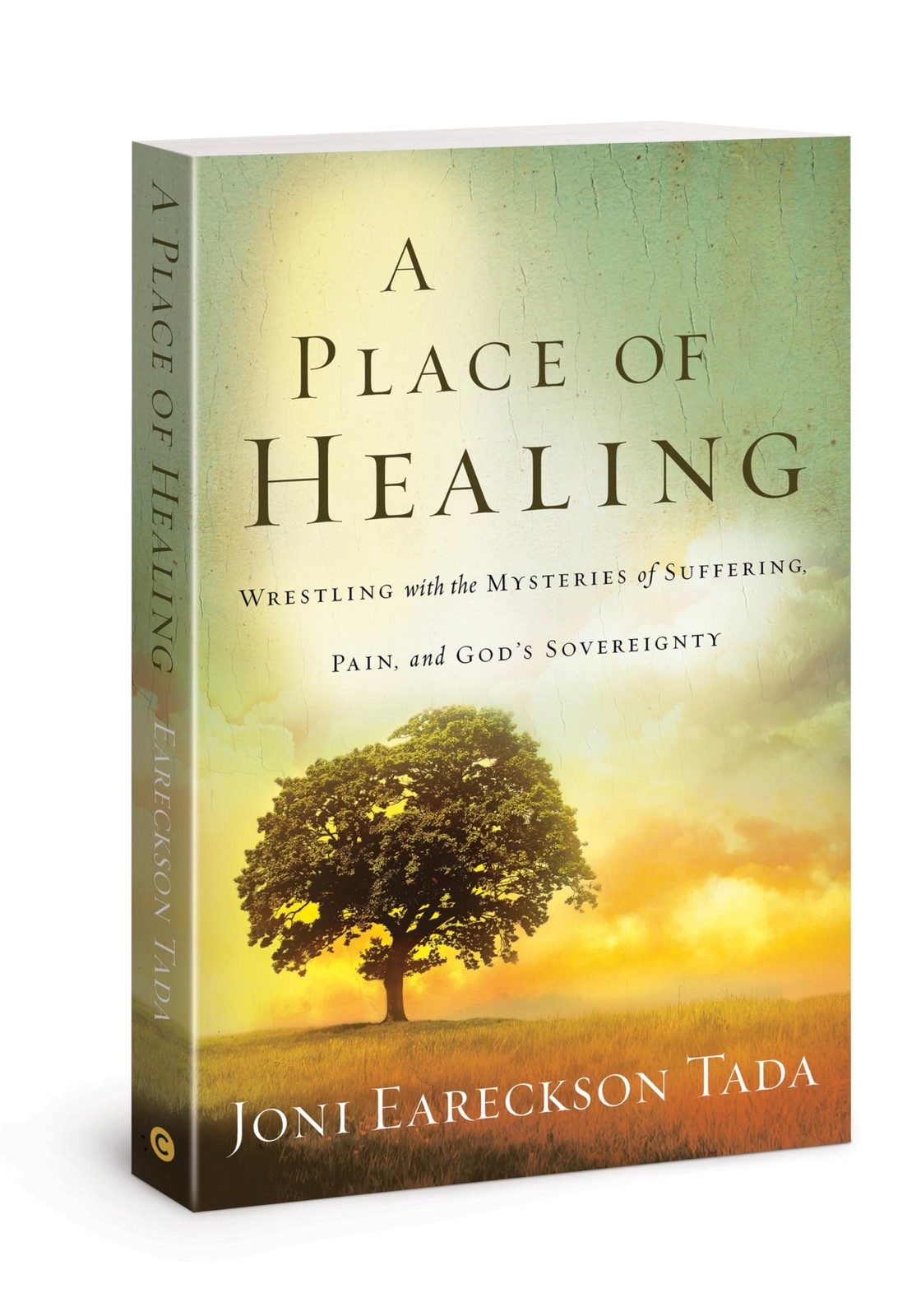 Place of Healing: Wrestling with the Mysteries of Suffering, Pain, and God’s…