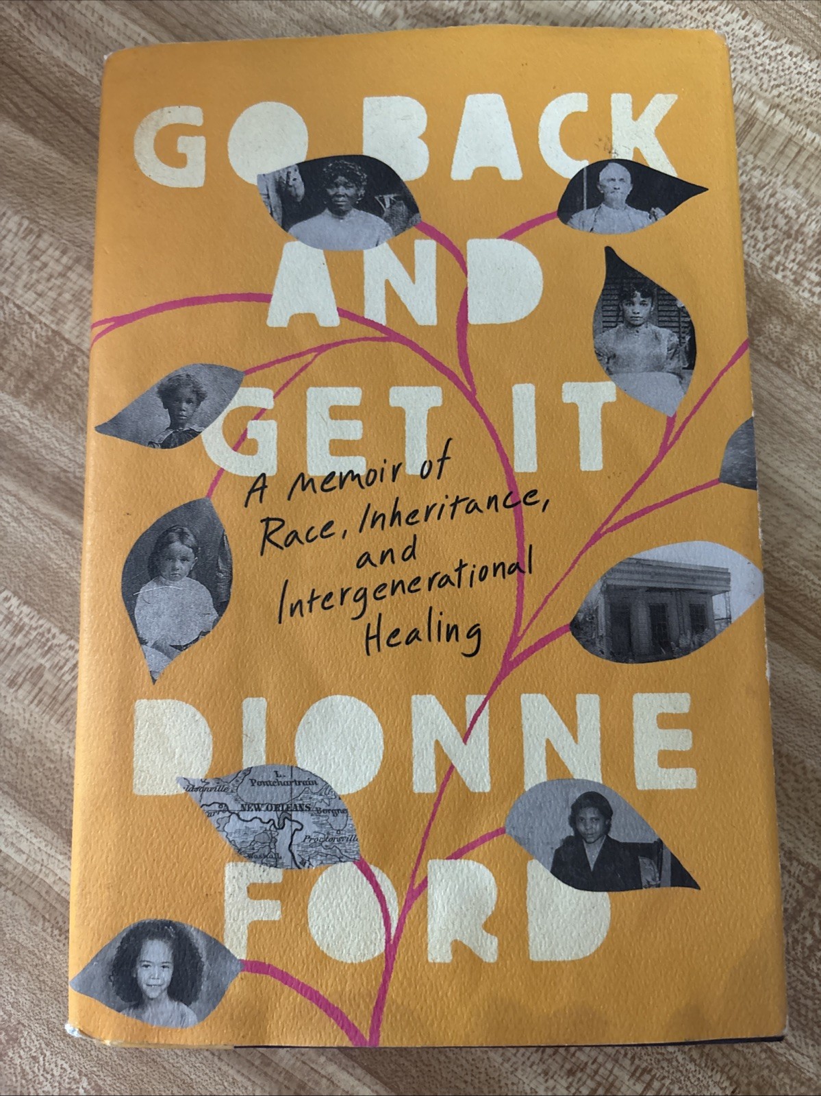 Go Back and Get It: A Memoir of Race, Inh- hardcover, #24