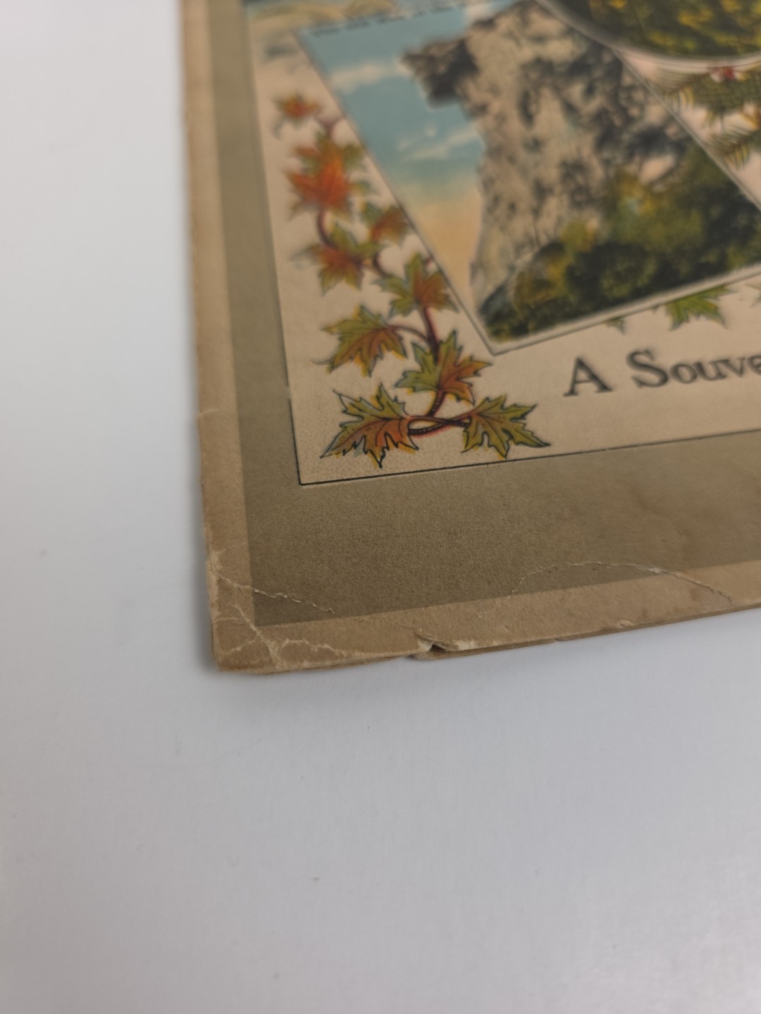 The White Mts Of N.H. Switzerland Of America Souvenir And Guide Book Vintage