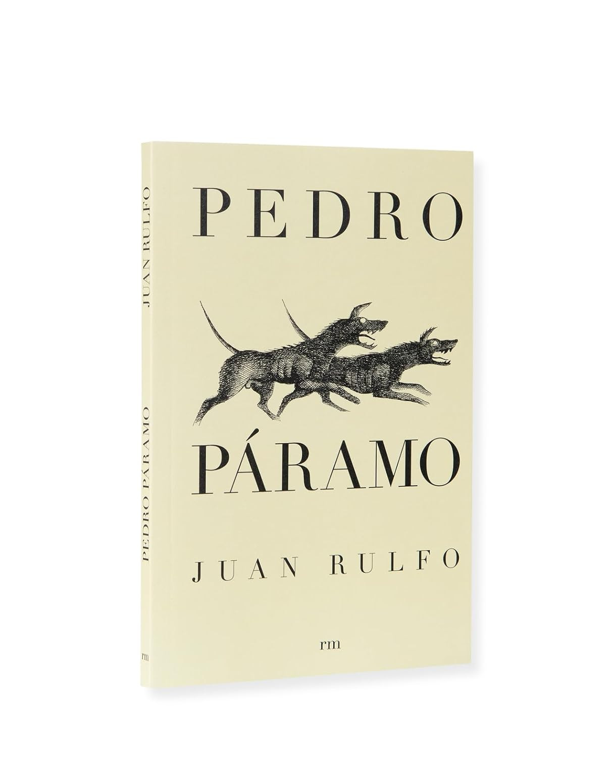 Pedro Páramo: Spanish Edition
