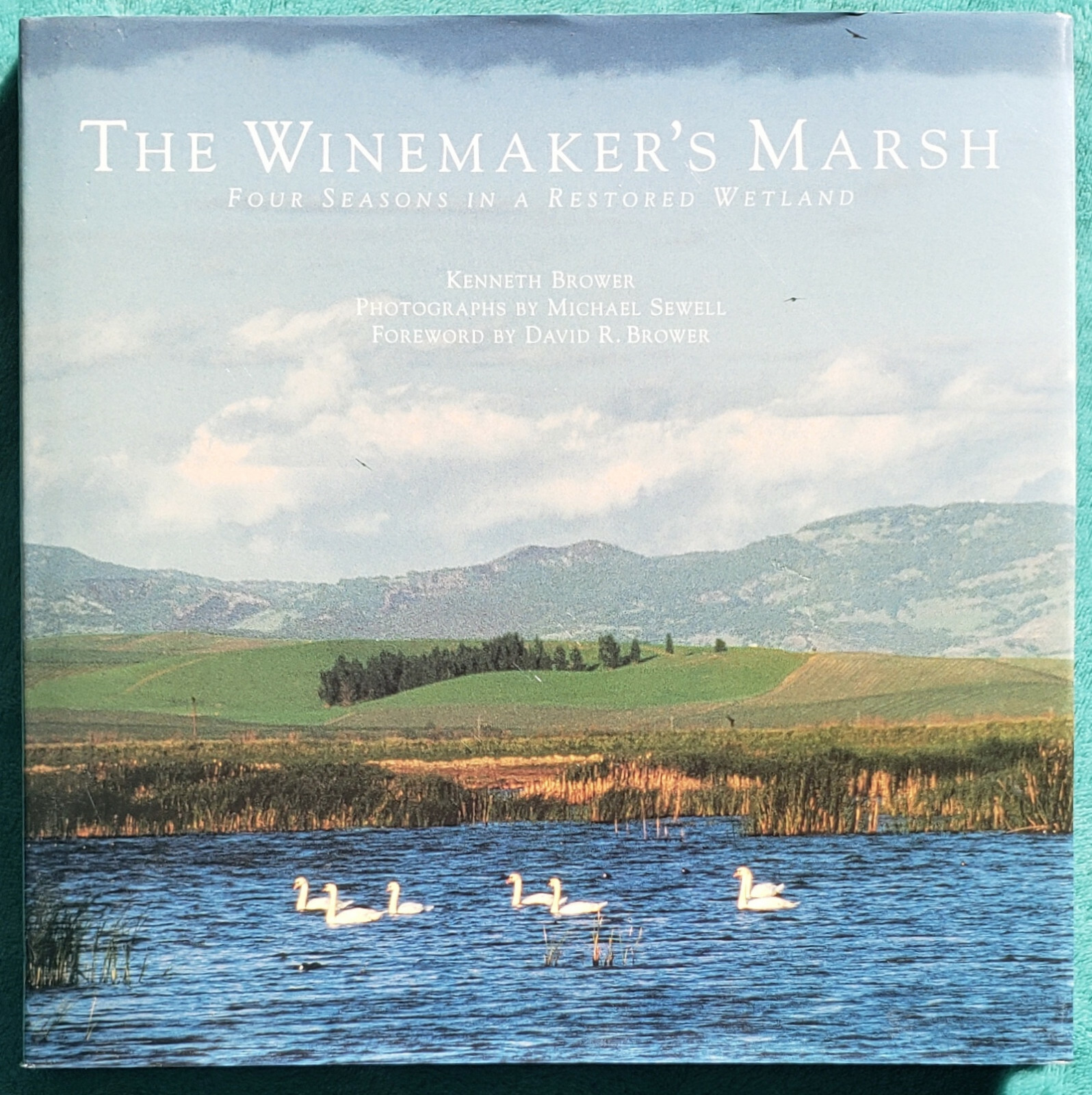 The Winemaker’s Marsh 4 Seasons In A Restored Wetland 2001 Hardcover 166 Pages