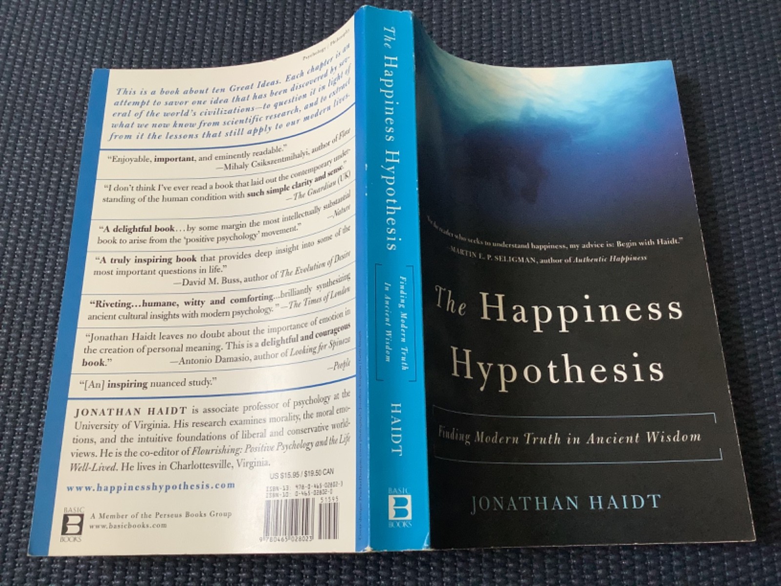 The Art of Happiness Dalai Lama Hypothesis Jonathan Haidt Happy Psychology Books