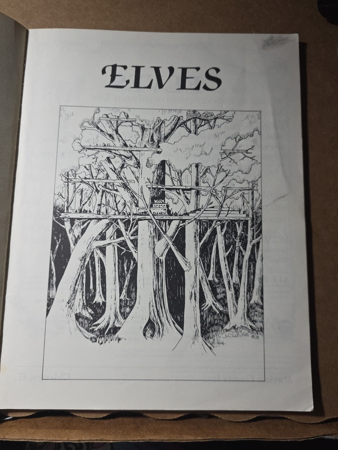 Elves Advanced Dungeons & Dragons by Cheron Fitzgerald, Del Carr 96 pages