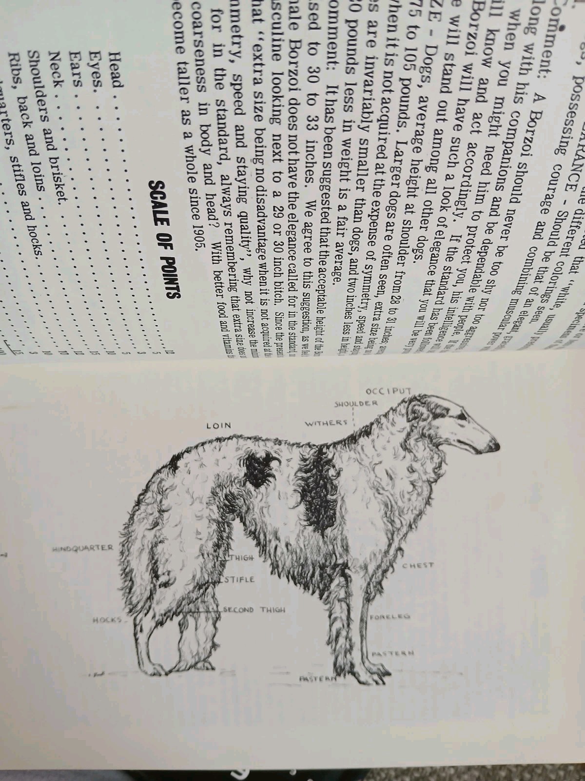 All About Borzoi Club of Northern California HC 1968 VGC Illustrated