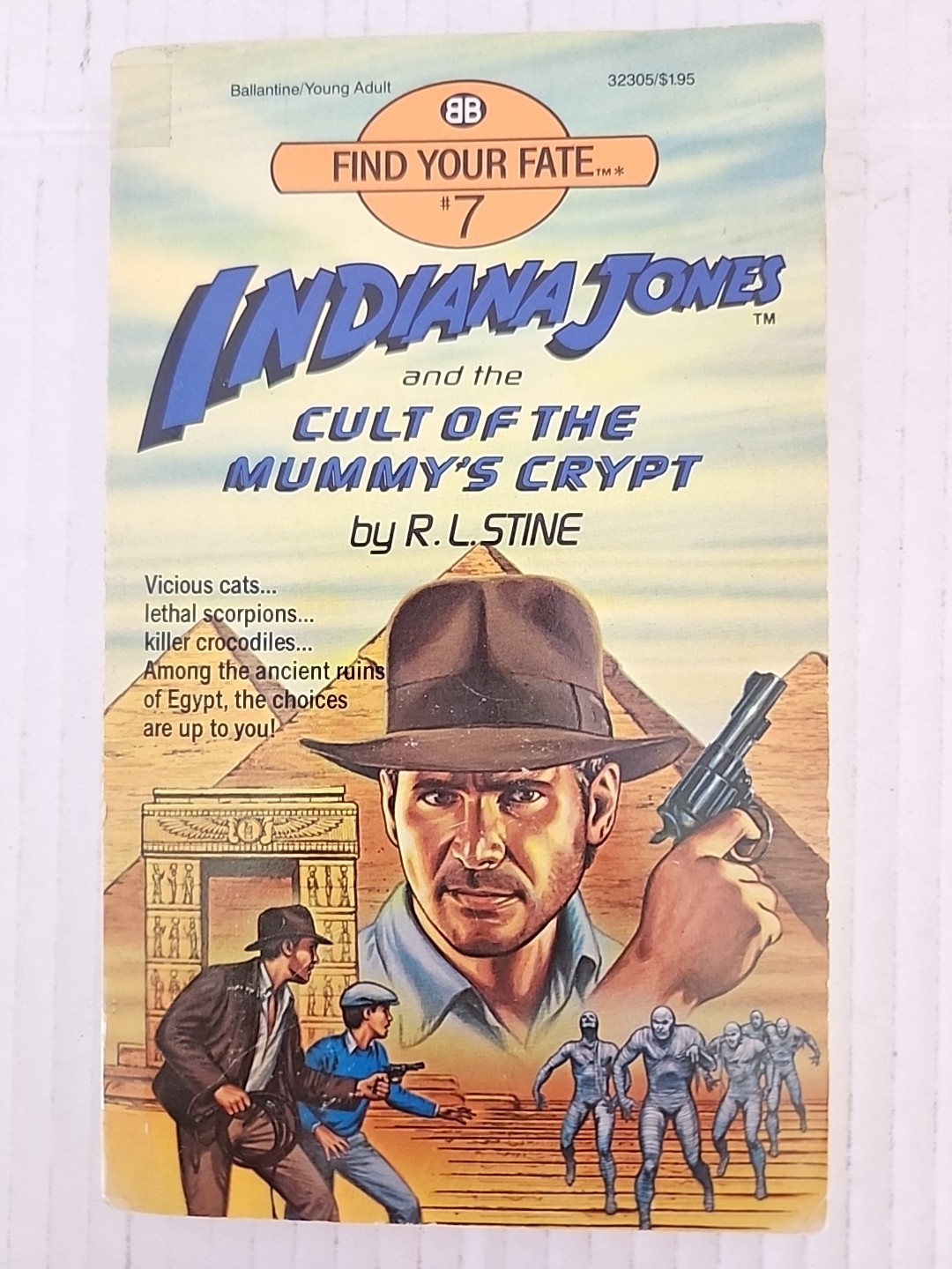 1-7 and 9 Indiana Jones Find Your Fate Adventure books