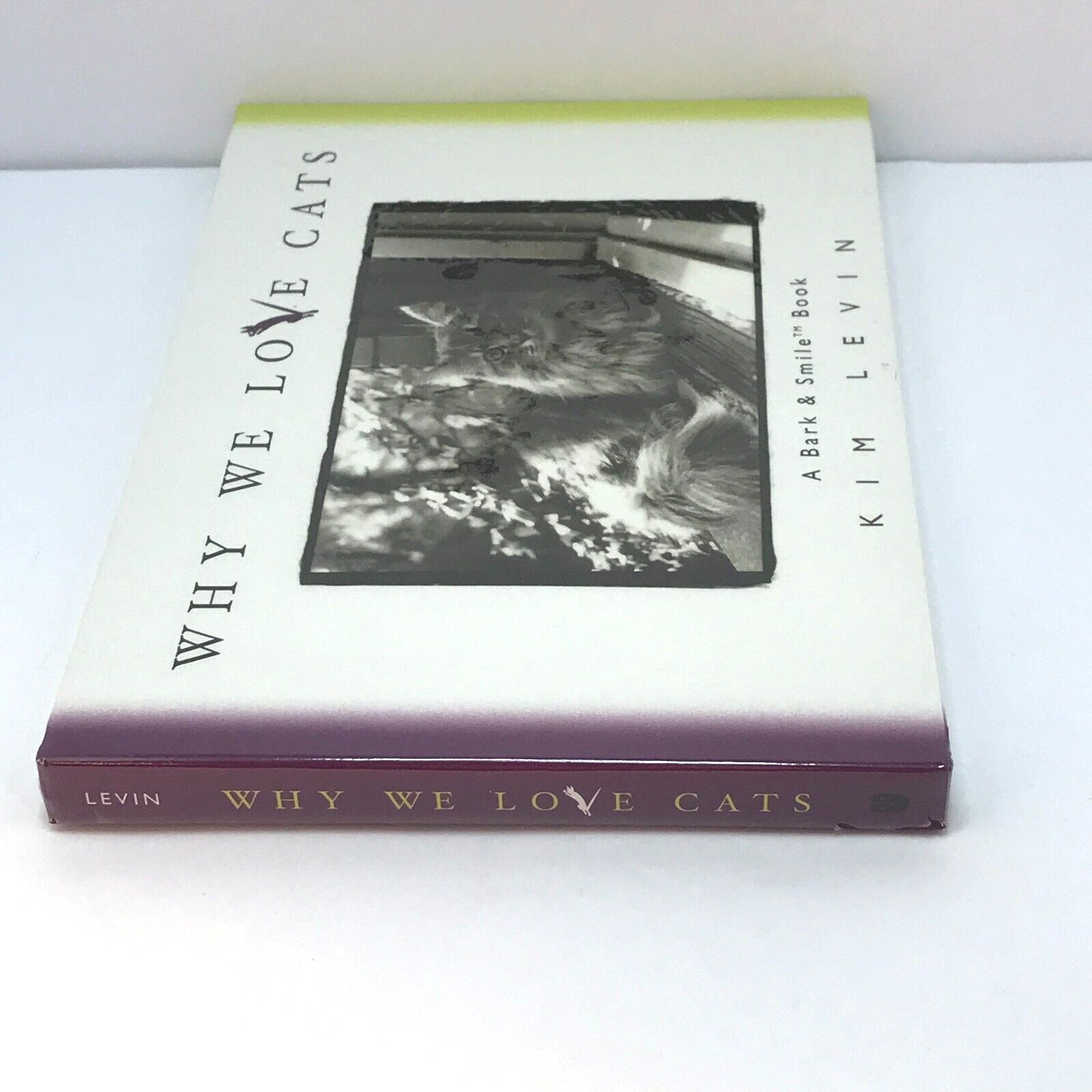 Why We Love Cats by Kim Levin. Kitty, Pets at Play, Best Friend Furry and Fluffy