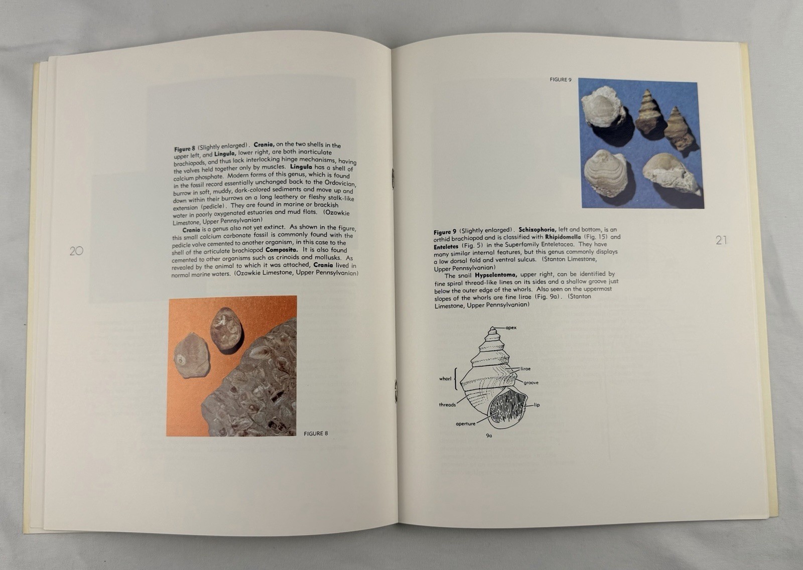 Ancient Life Found In Kansas Rocks Roger B Williams 1975 Fossils Softcover Book
