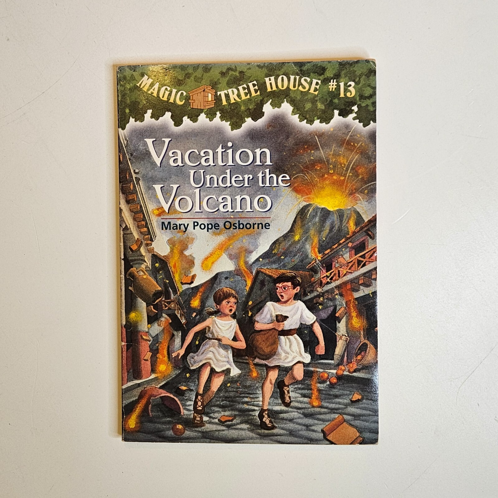 Lot 9 Magic Tree House Books #1 #6 #12 #13 #34 Research Guide Merlin Missions