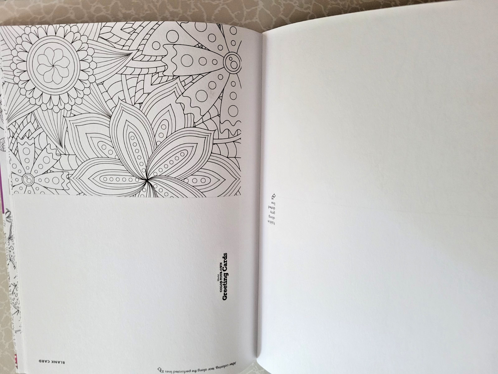 COLOR YOUR OWN GREETING CARDS Create 27 Fun & Festive Cards – Children & Adult