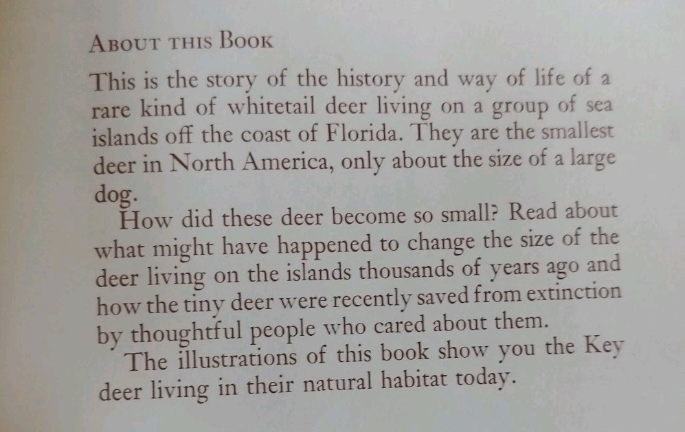 Islands of the Tiny Deer ~ VTG 1972 CHILDREN’S BOOK ~ JULIAN MAY