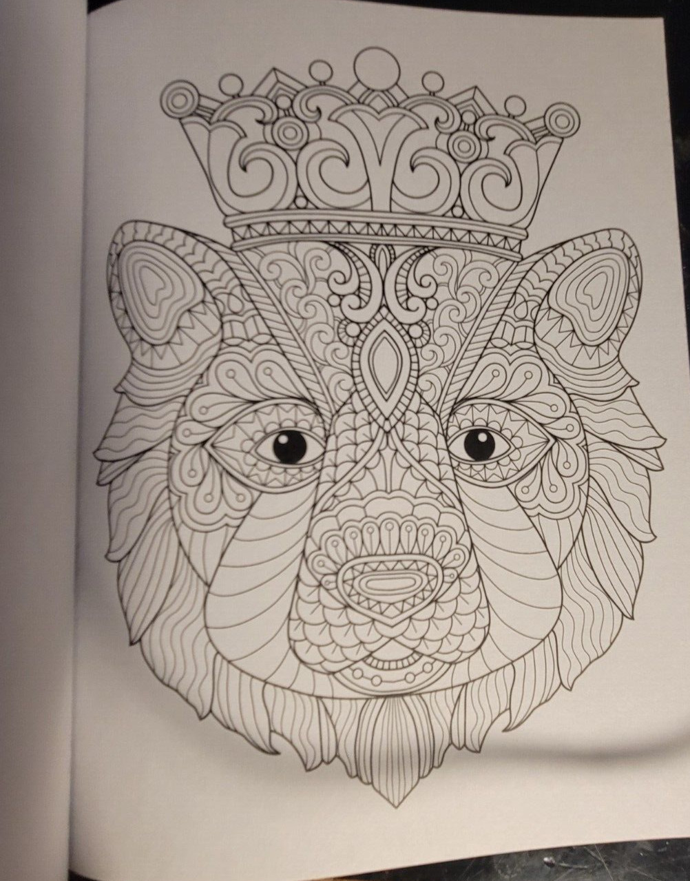 COLOR ME MAGNIFICENT Vol 11 Adult Coloring Book With 47 Prints Ready To Frame