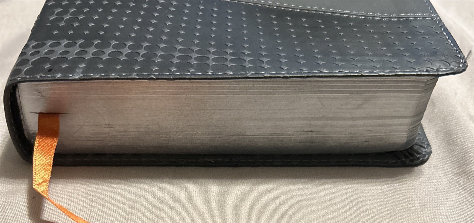 The NIV Action Study Bible – Premium 1st Edition by Sergio Cariello / David Cook