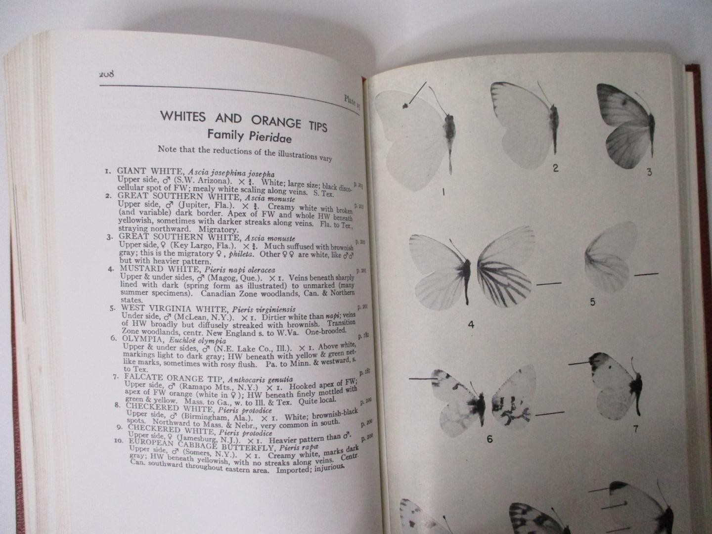Roger Tory Peterson; FIELD GUIDES, Eastern BUTTERFLIES (1986 H.C. Book) + Ribbon