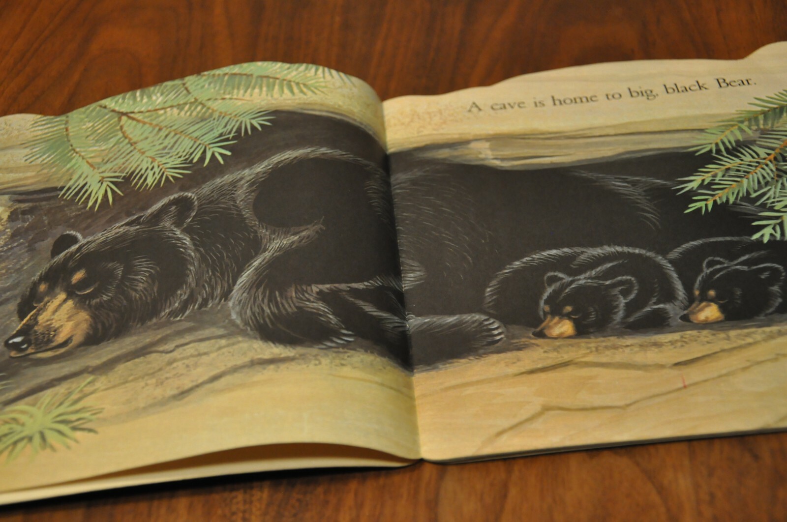 1978 The Home is the Best Children’s Kids Book Golden Press USA Rabbits Vintage