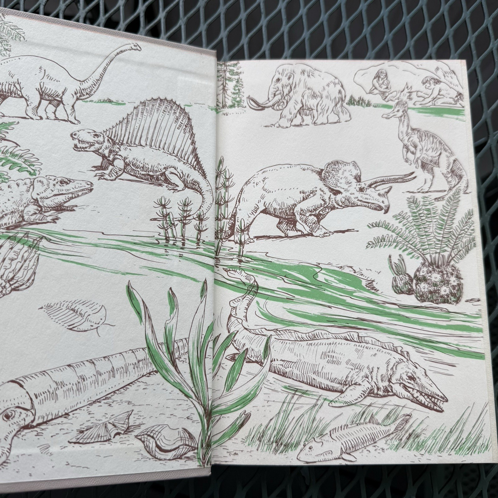 1957 The Real Book About PREHISTORIC LIFE Garden City Books