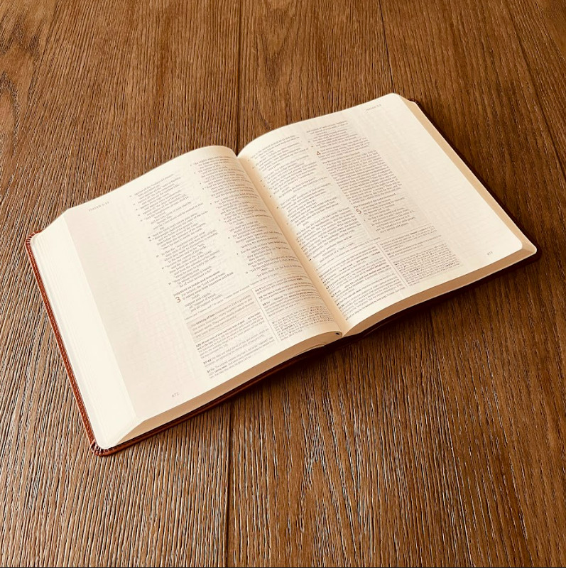 Personalized Family Bible | Custom ESV Family Tree Study Bible | Wedding Gifts
