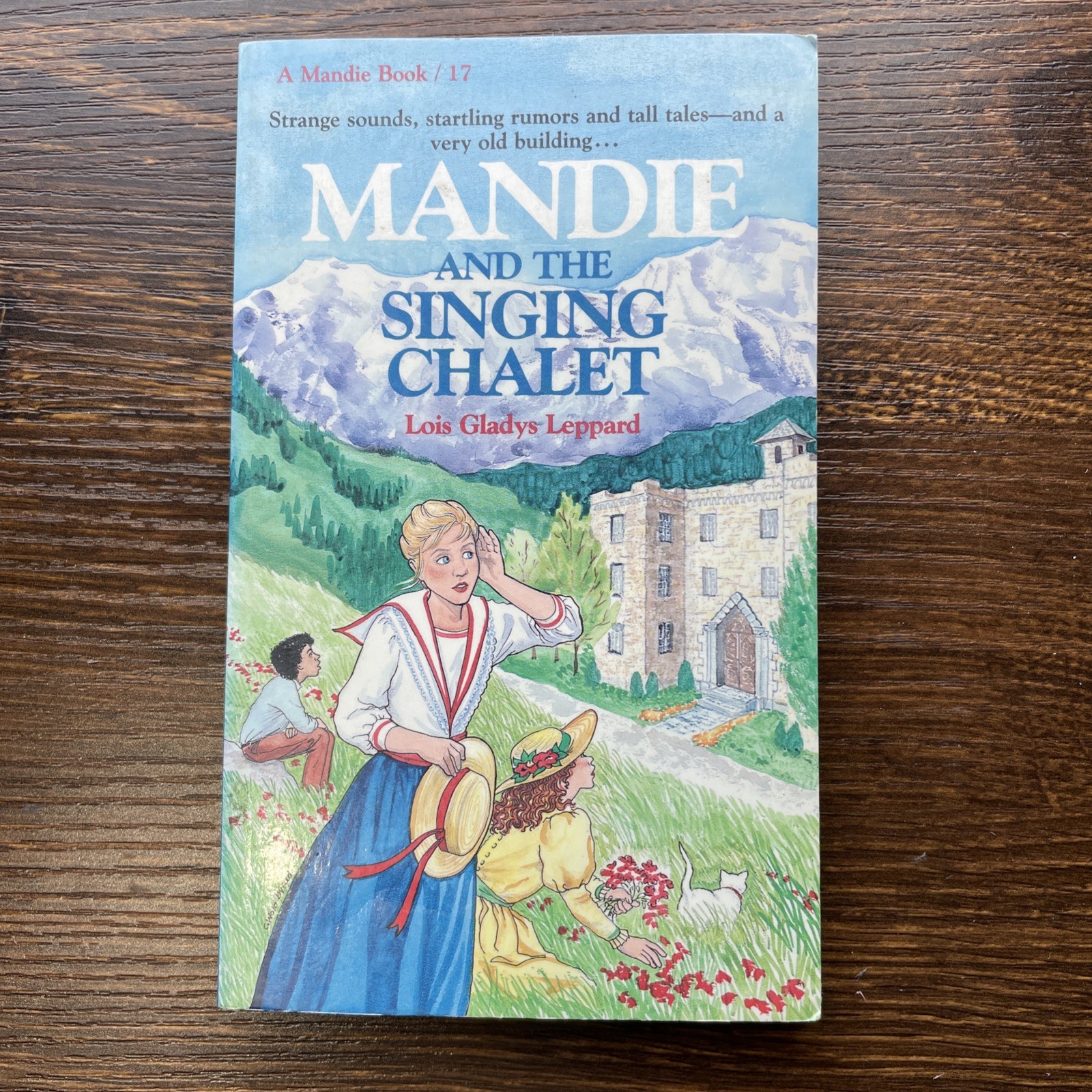 Mandie Mystery Book Lot of 4 PB Lois Gladys Leppard See Photos Varied Condition