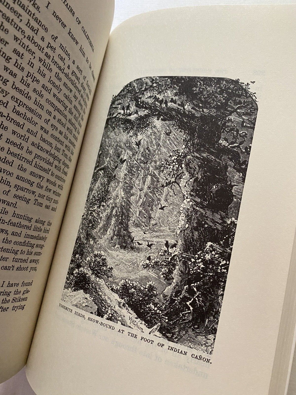 The Mountains Of California by John Muir, Ten Speed Press 1991